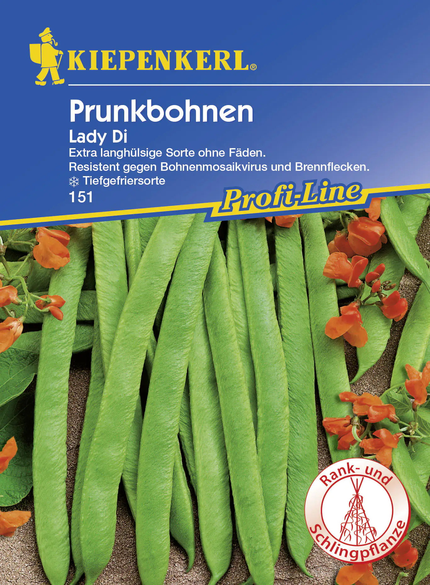 Kiepenkerl Profi-Line Prunkbohnen Lady Di Phaseolus coccineus, Inhalt: 8-10 Stangen Kiepenkerl Profi-Line Prunkbohnen Lady Di Phaseolus coccineus, Inhalt: 8-10 Stangen