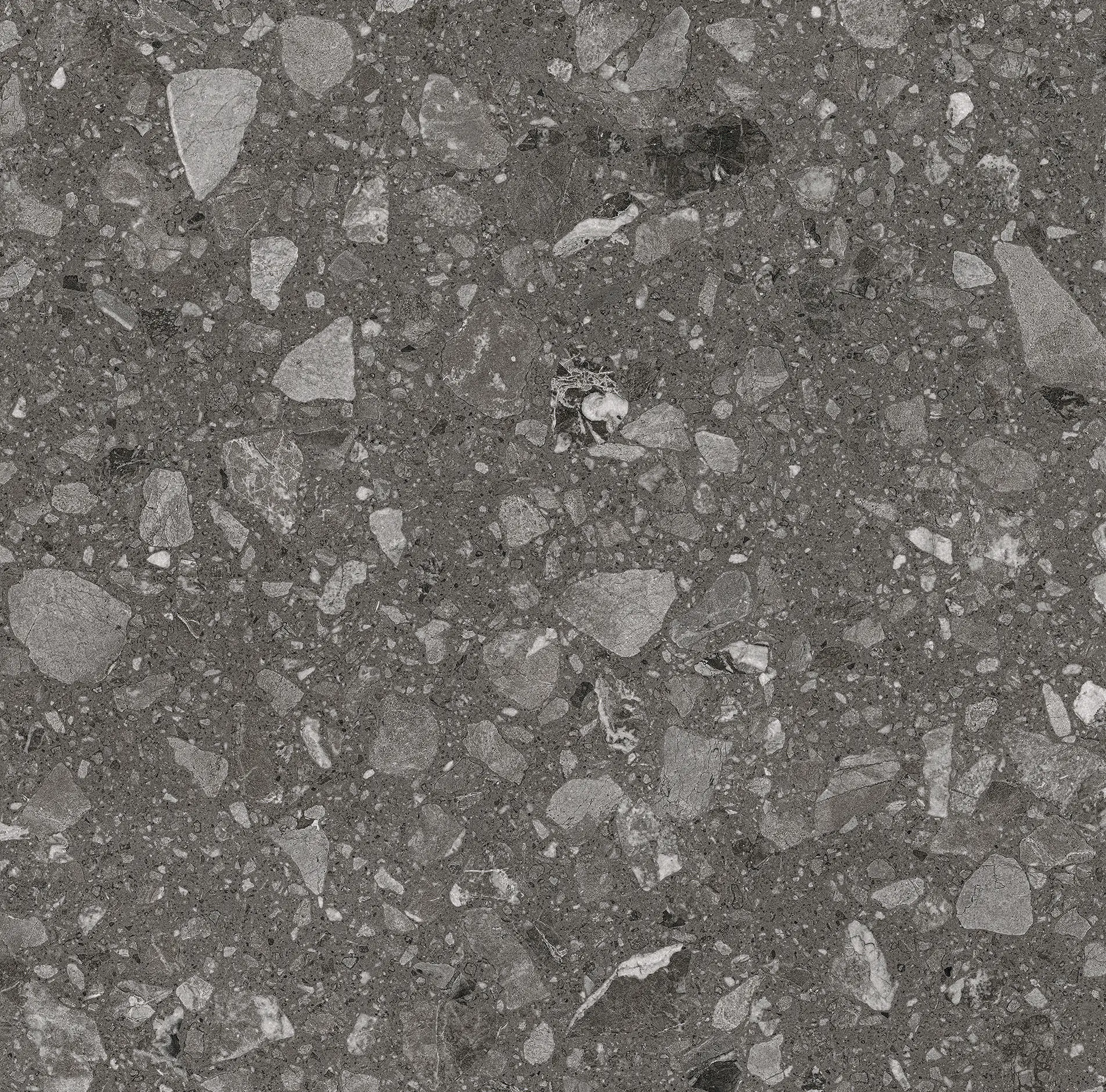 Bodenfliese Feinsteinzeug Terra 60 x 60 cm anthrazit