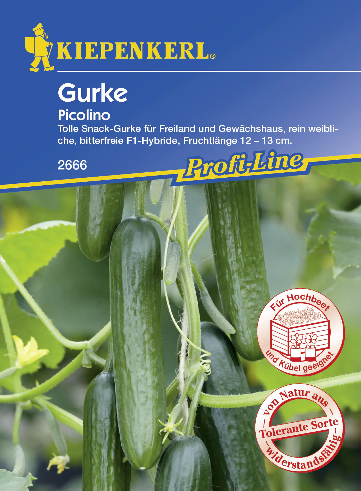 Kiepenkerl Schlangengurke Midios Cucumis sativus, Inhalt: 5 Korn