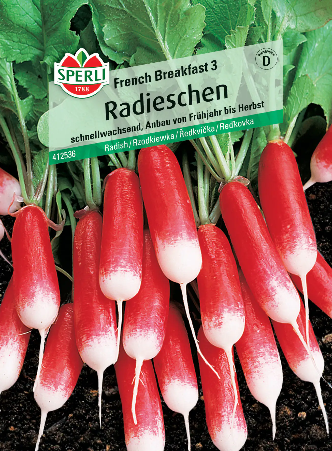 Sperli Radieschen French Breakfast 3