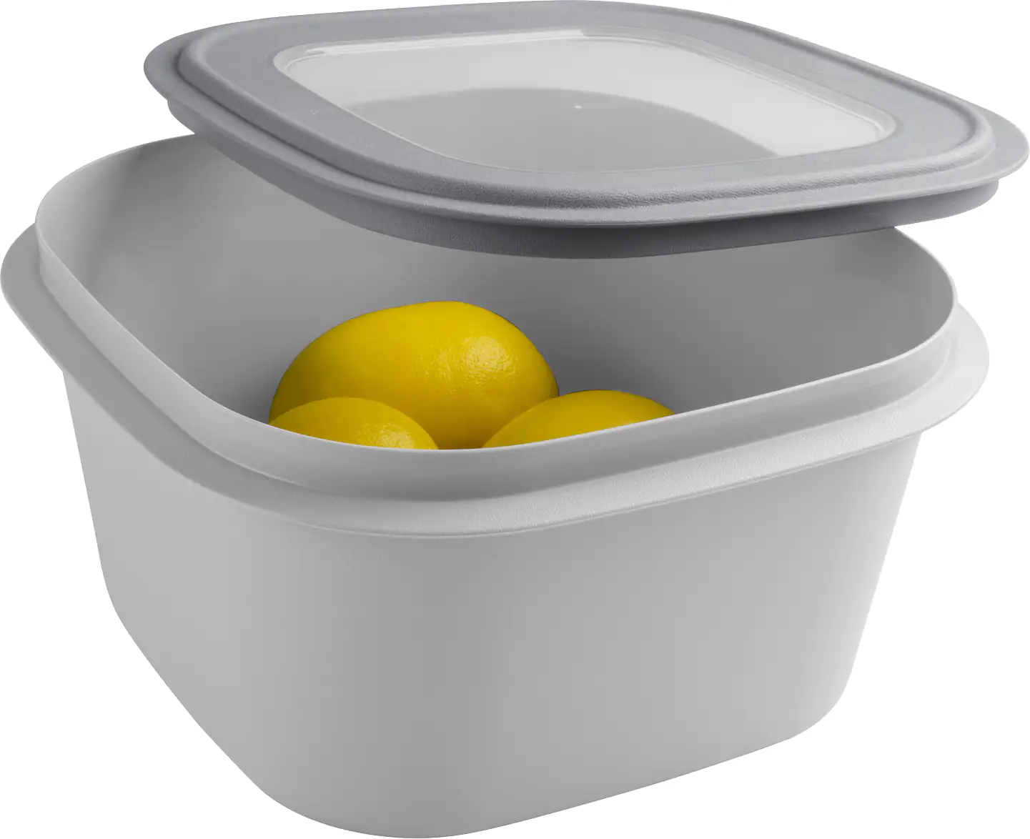 Sunware Frischhaltedose Sigma Home 3,8 L grau Sunware Frischhaltedose Sigma Home 3,8 L grau