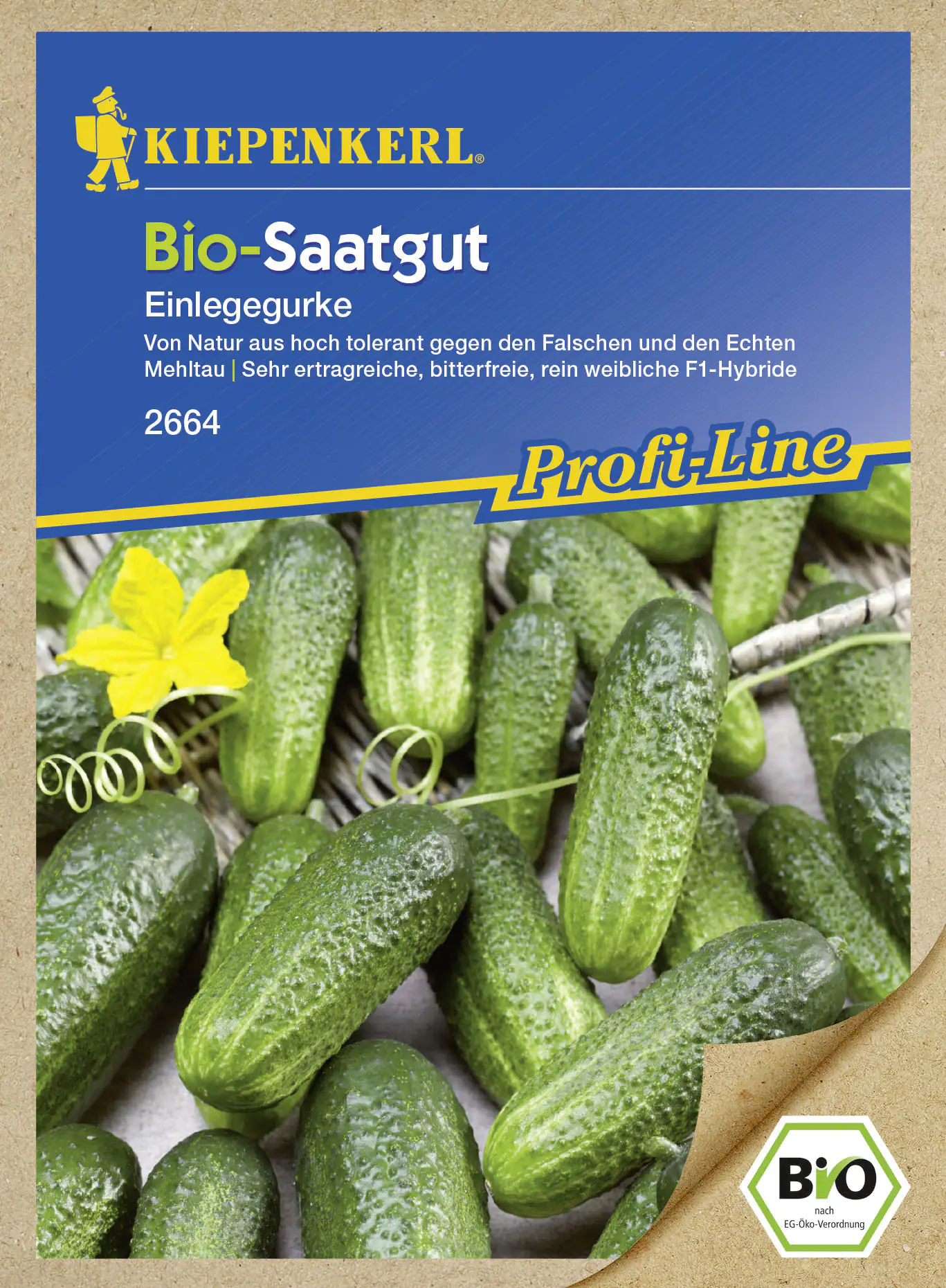Kiepenkerl Bio-Saatgut Gurke Diamant Cucumis sativus, Inhalt: 14 Korn Kiepenkerl Bio-Saatgut Gurke Diamant Cucumis sativus, Inhalt: 14 Korn