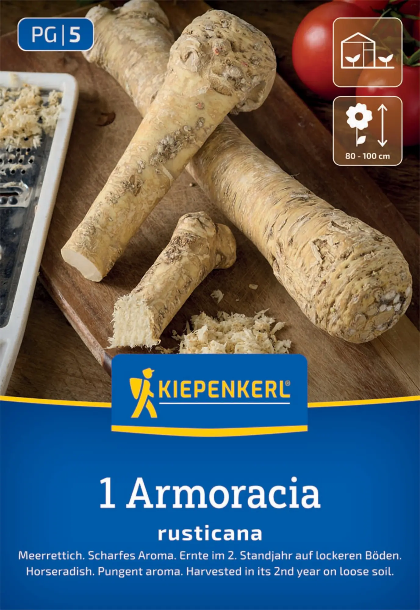 Kiepenkerl Pflanzgut Meerrettich Armoracia rusticana 1 Stück