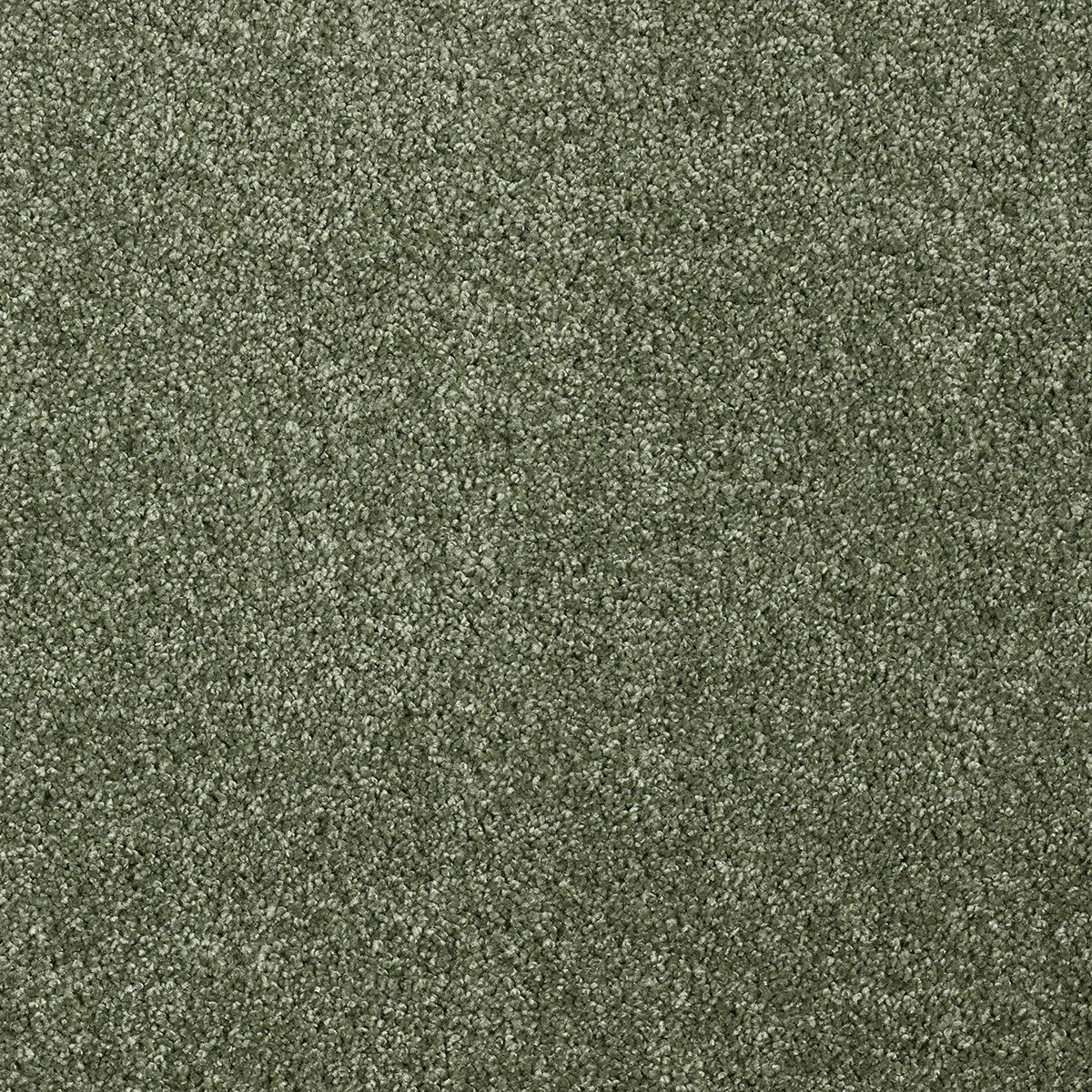 Teppichboden Ella grün 5 m breit (Meterware)