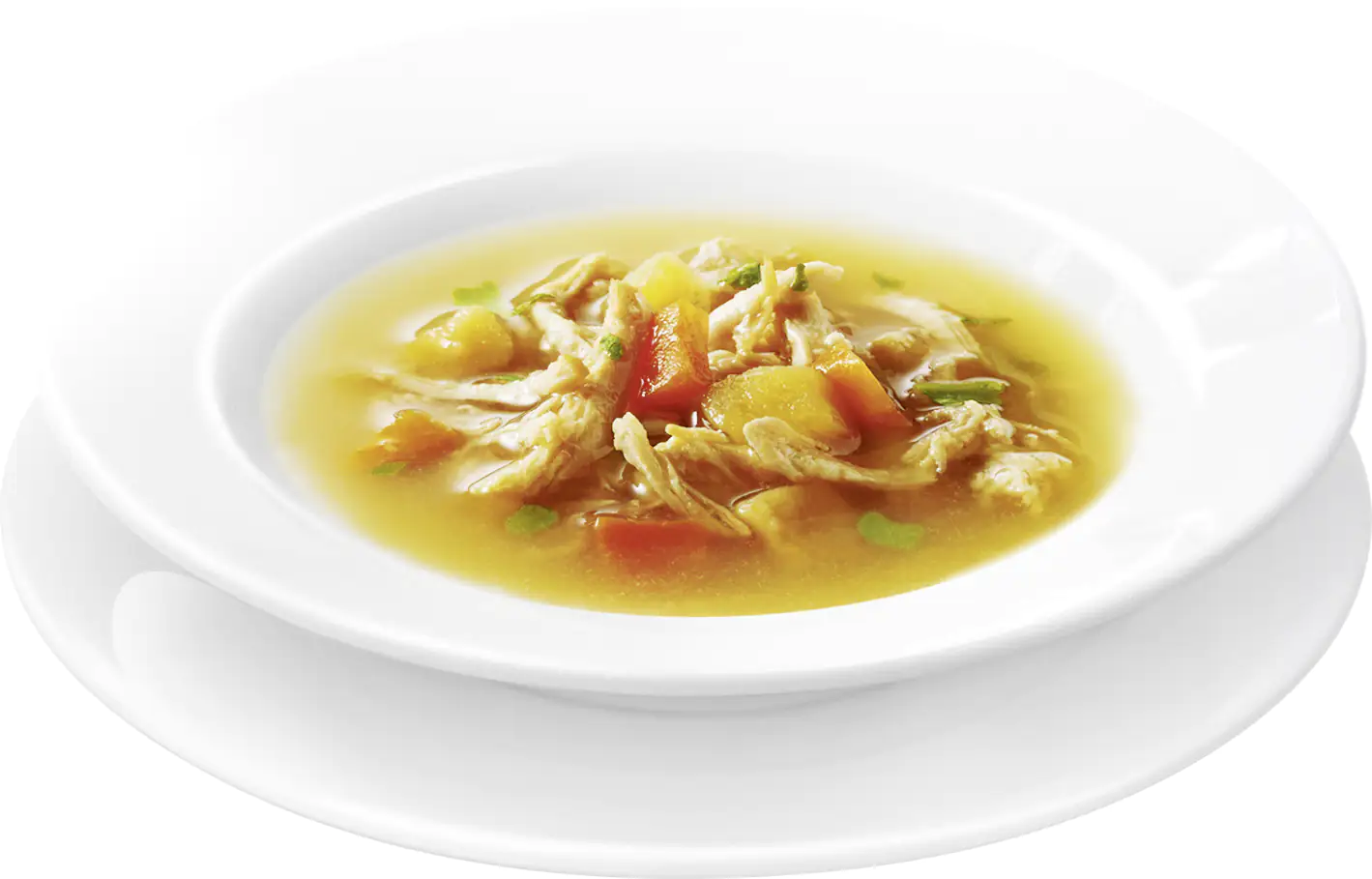 Gourmet Natures Creations Soup Köstliche Brühe mit Huhn & Gemüse 40 g