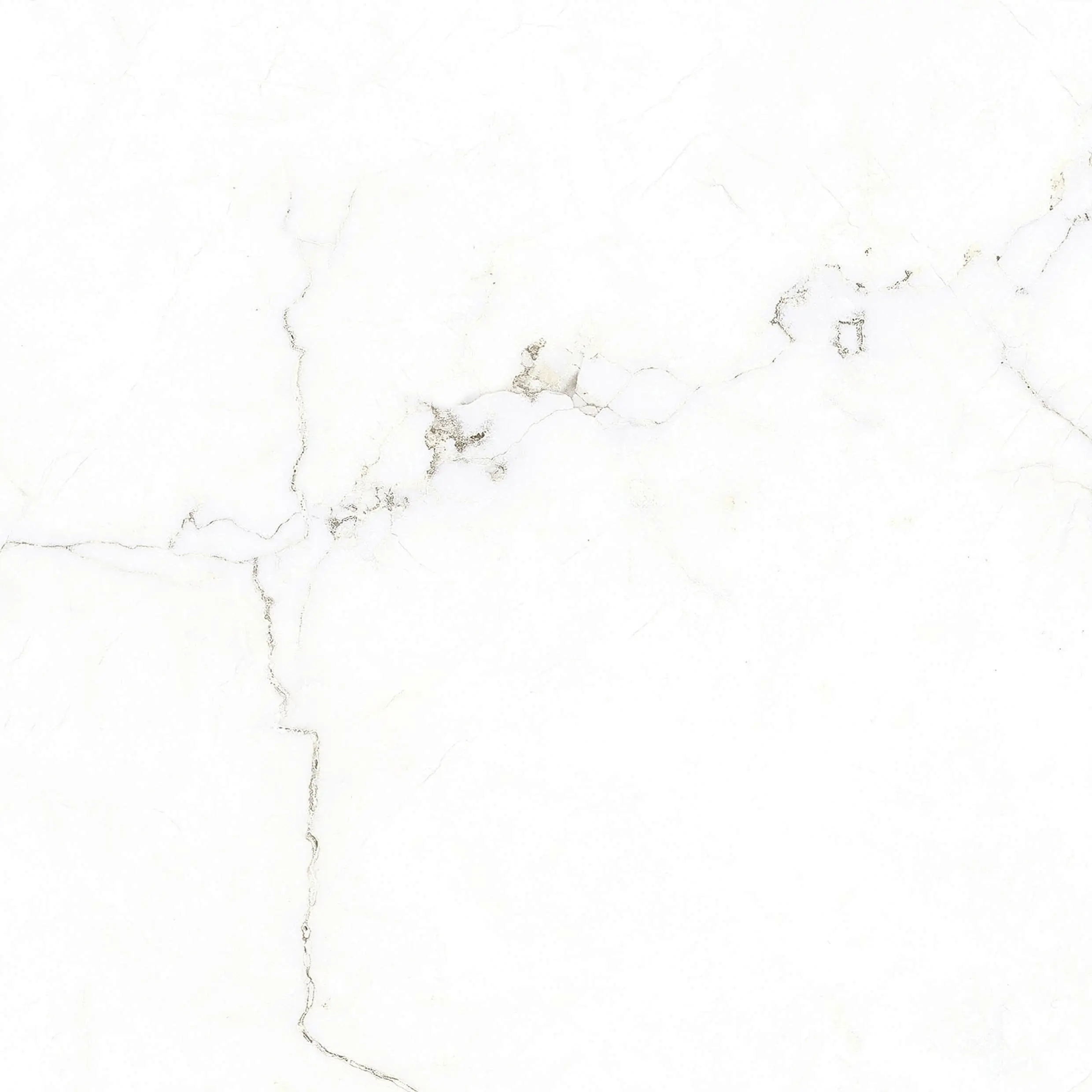 Wetwall Alloy Spritzschutzwand 80 x 25 cm Bianco Venato 