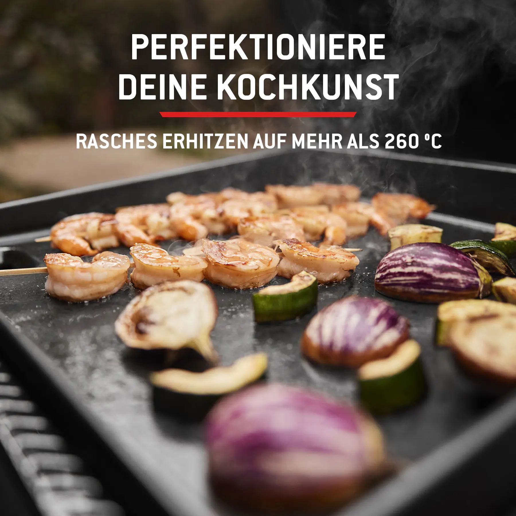 Weber Gasgrill Slate GP 56 cm Premium Plancha