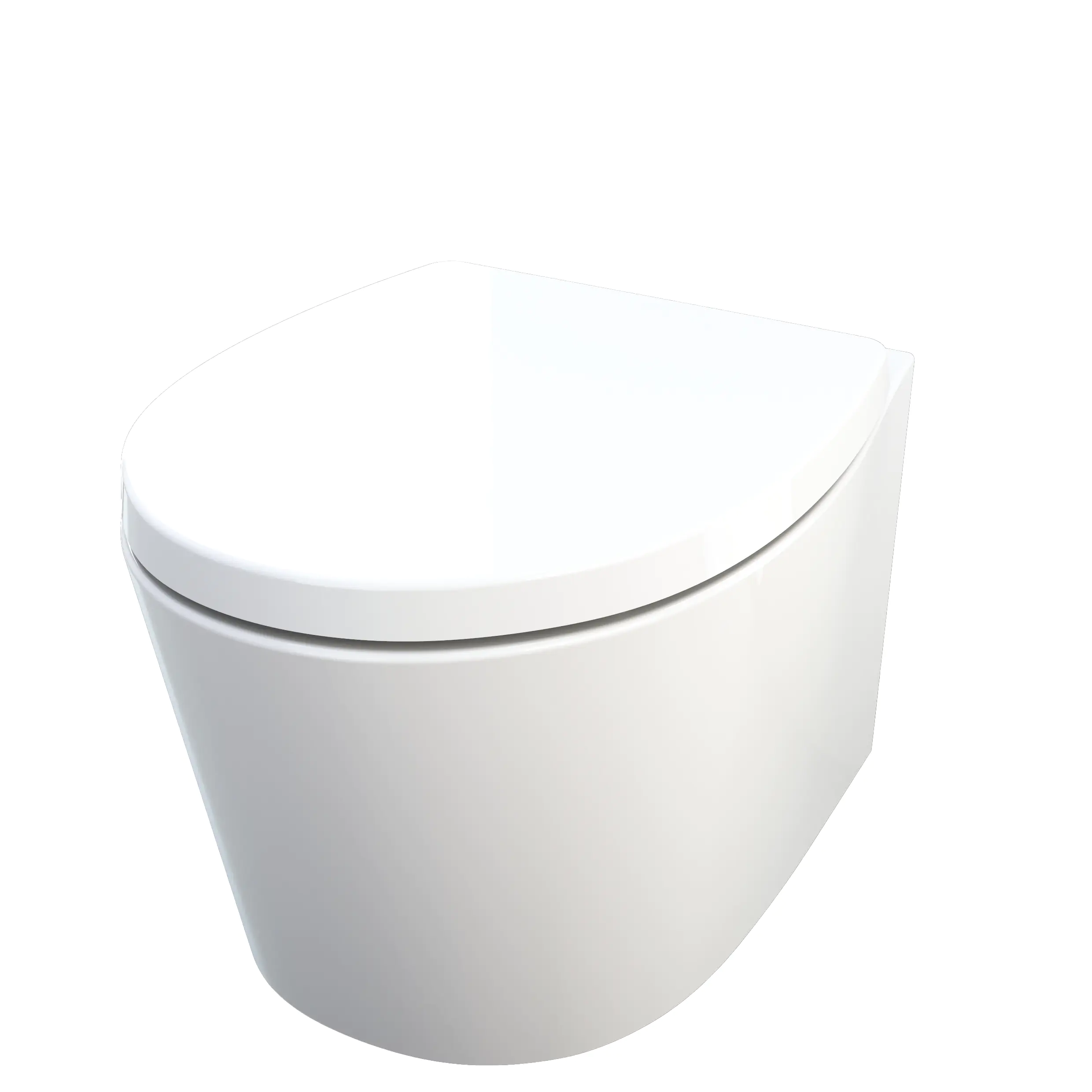 Primaster Wand WC spülrandlos Lorsa Tiefspüler weiß inkl. WC Sitz 