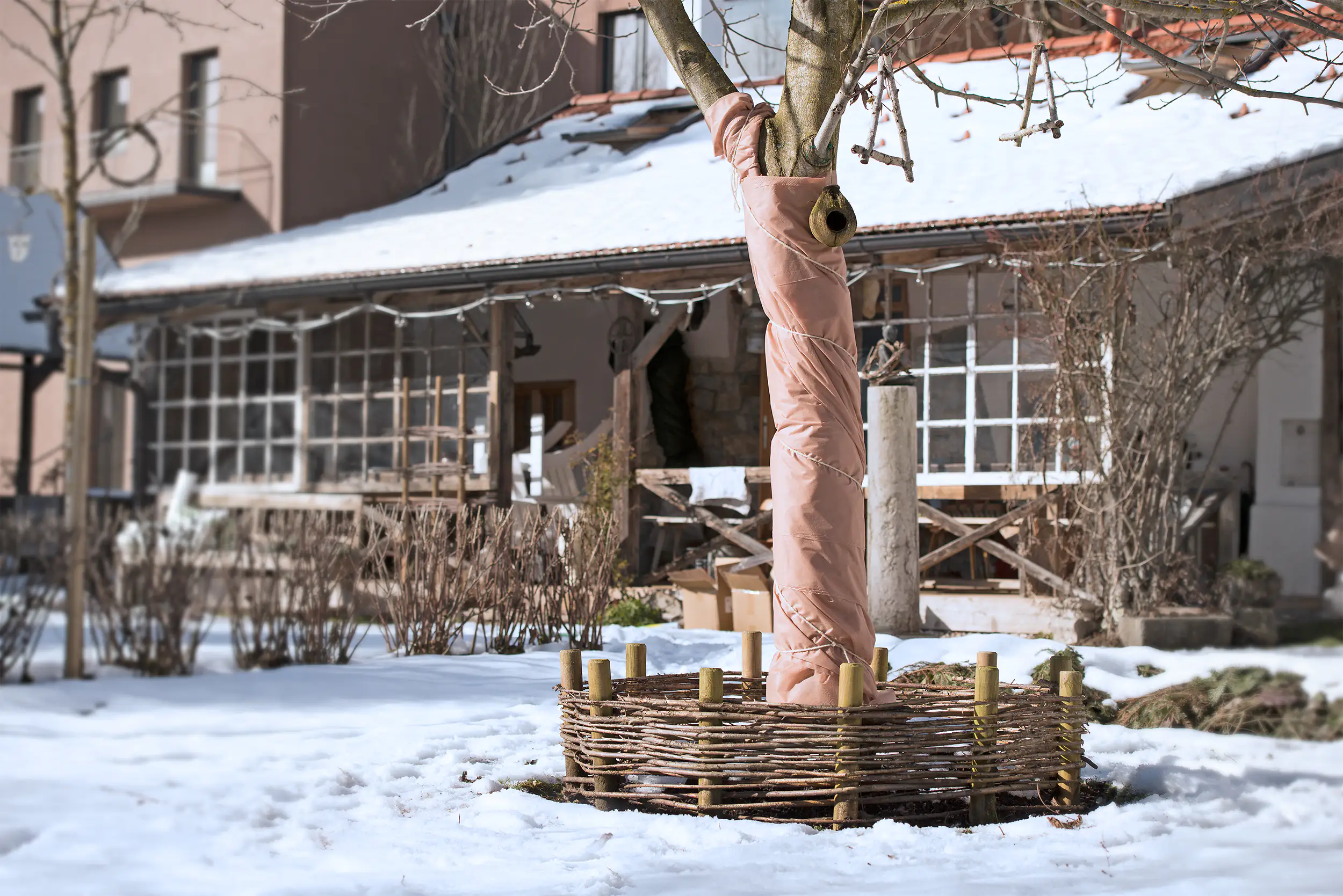 Windhager Winter-Vlies Protect 5 x 2 m,