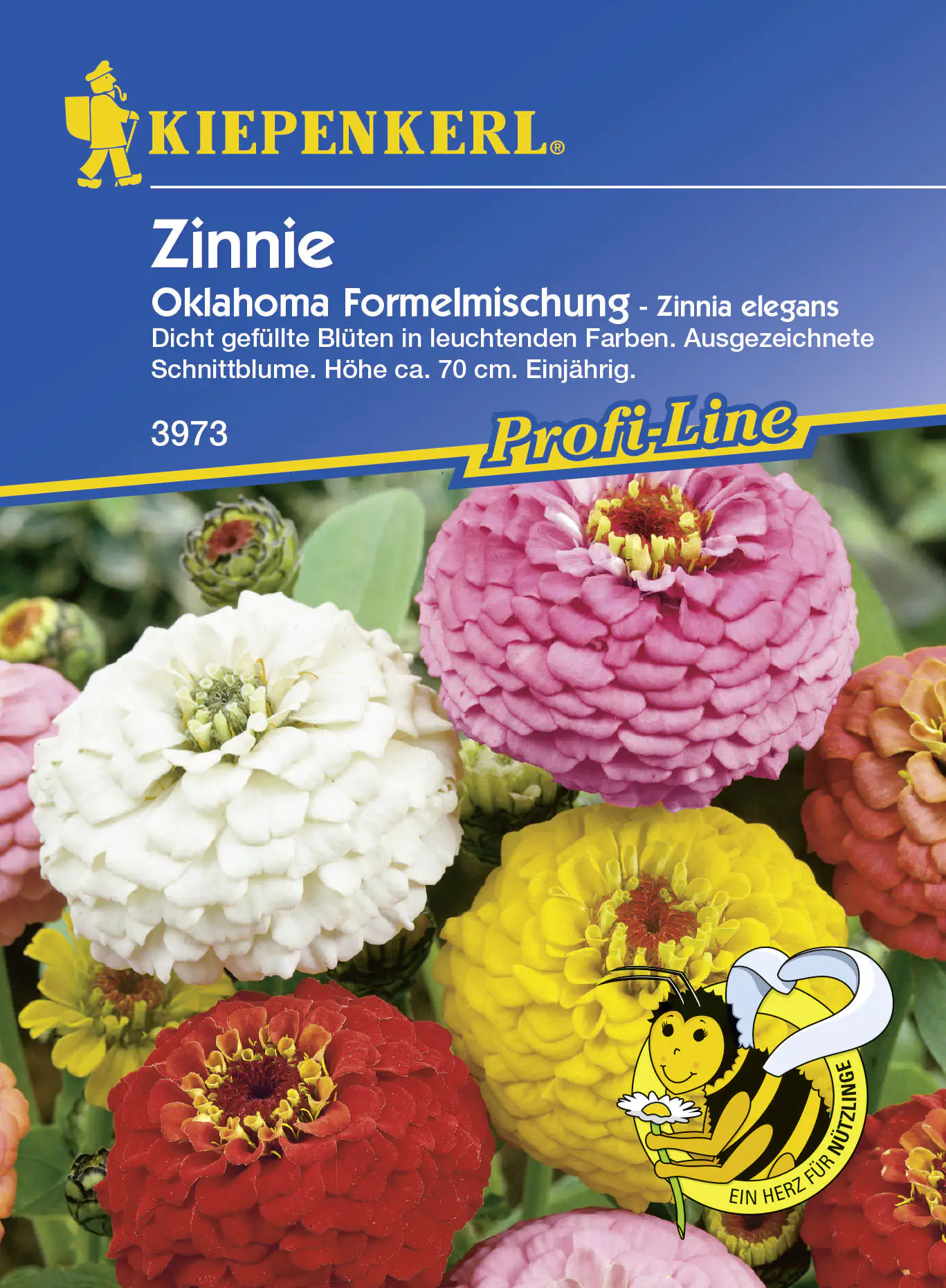 Kiepenkerl Zinnie Oklahoma Zinnia elegans, Inhalt: ca. 50 Pflanzen