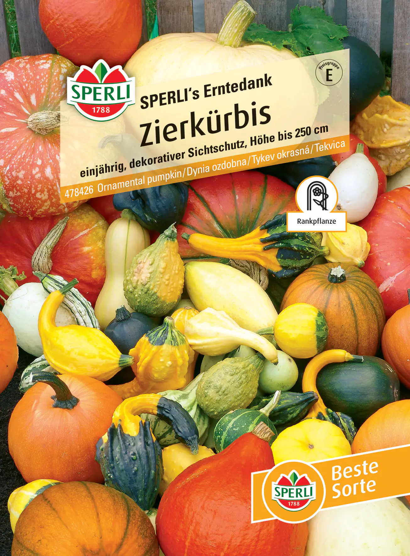 Sperli Zierkürbis SPERLI's Erntedank