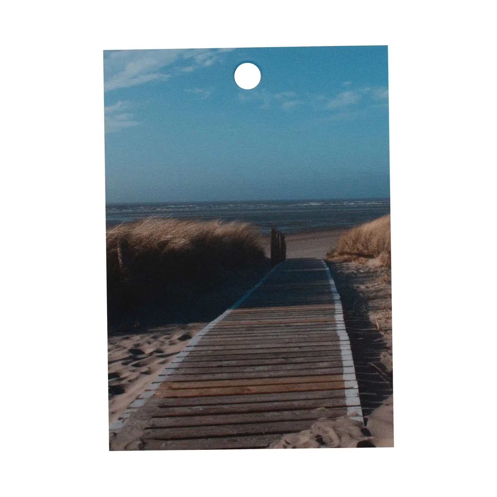 Schulte Handmuster Duschrückwand Decodesign FotoSteg Nordsee