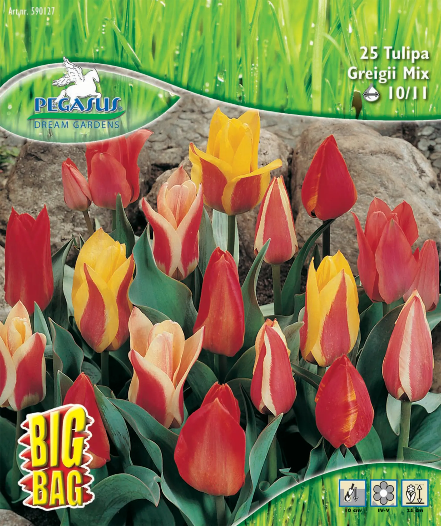 Pegasus Herbstblumenzwiebel Big Bag Botanische Tulpen Mischung 25 Stück