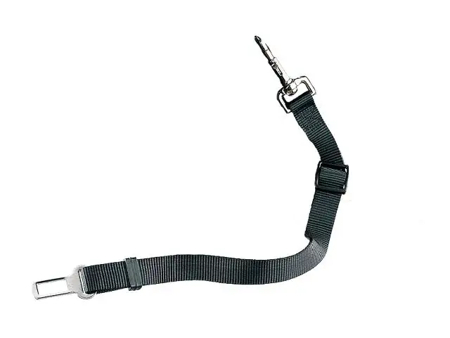 Nobby Sicherheitsgurt schwarz