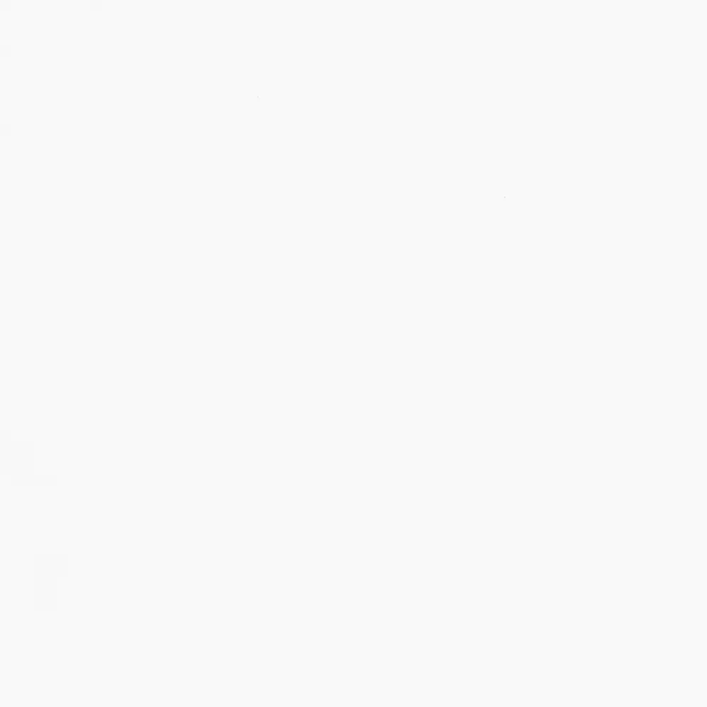 FN Neuhofer Sockelleiste gerundet 240 cm 58 x 18 mm Fichte oder Kiefer