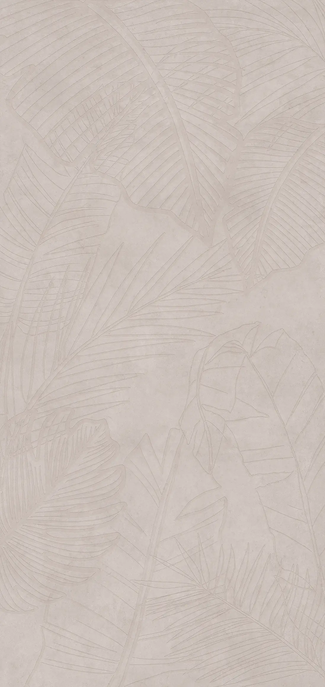 Classen Wandverkleidung Vario Baghira 255 x 120 cm 3 mm