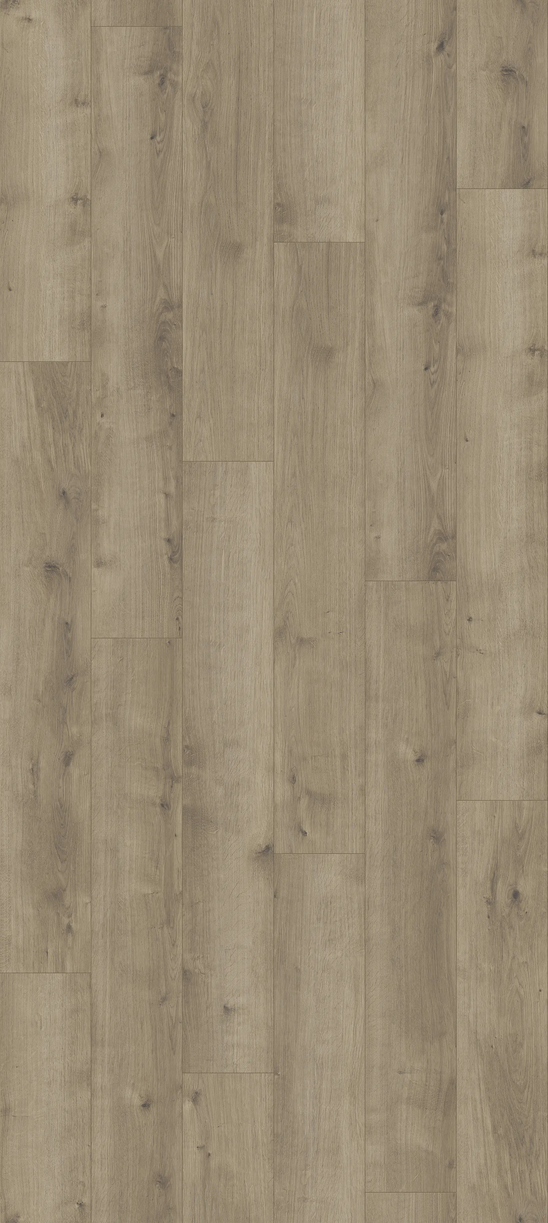 Parador Vinylboden Modular ONE Eiche Pure perlgrau Landhaus
