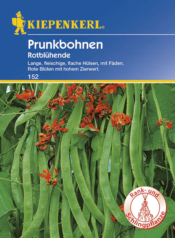 Kiepenkerl Prunkbohne Rotblühende Phaseolus coccineus, Inhalt: 6-8 lfd. Meter