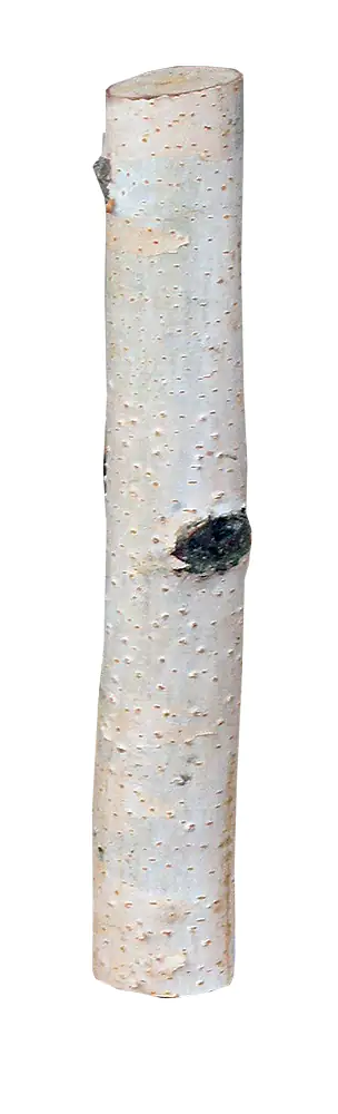 Birkenholzsticks 100% Natur 20 cm