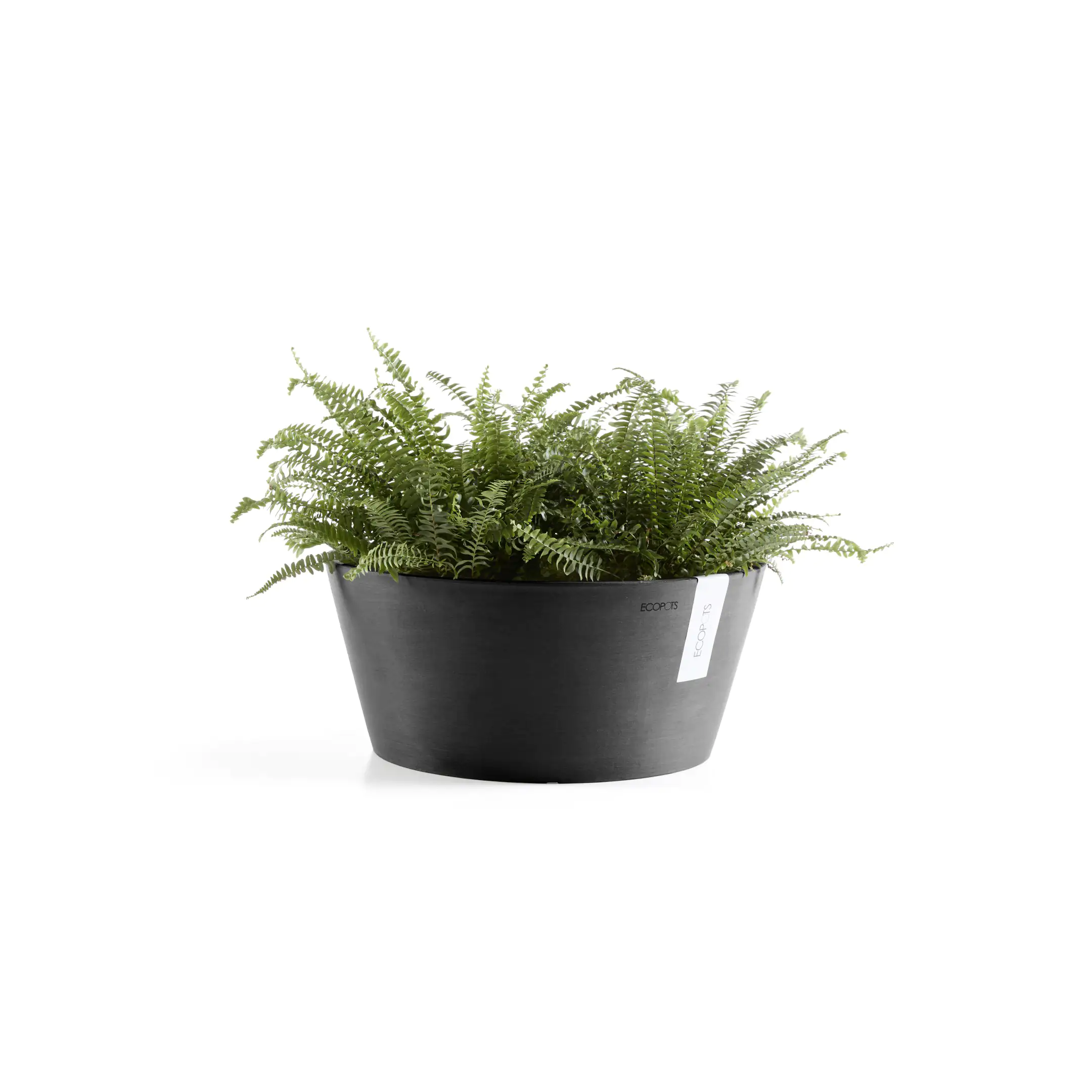 Ecopots Pflanztopf Frankfurt Ø 41 x 18 cm dunkelgrau Ecopots Pflanztopf Frankfurt Ø 41 x 18 cm dunkelgrau