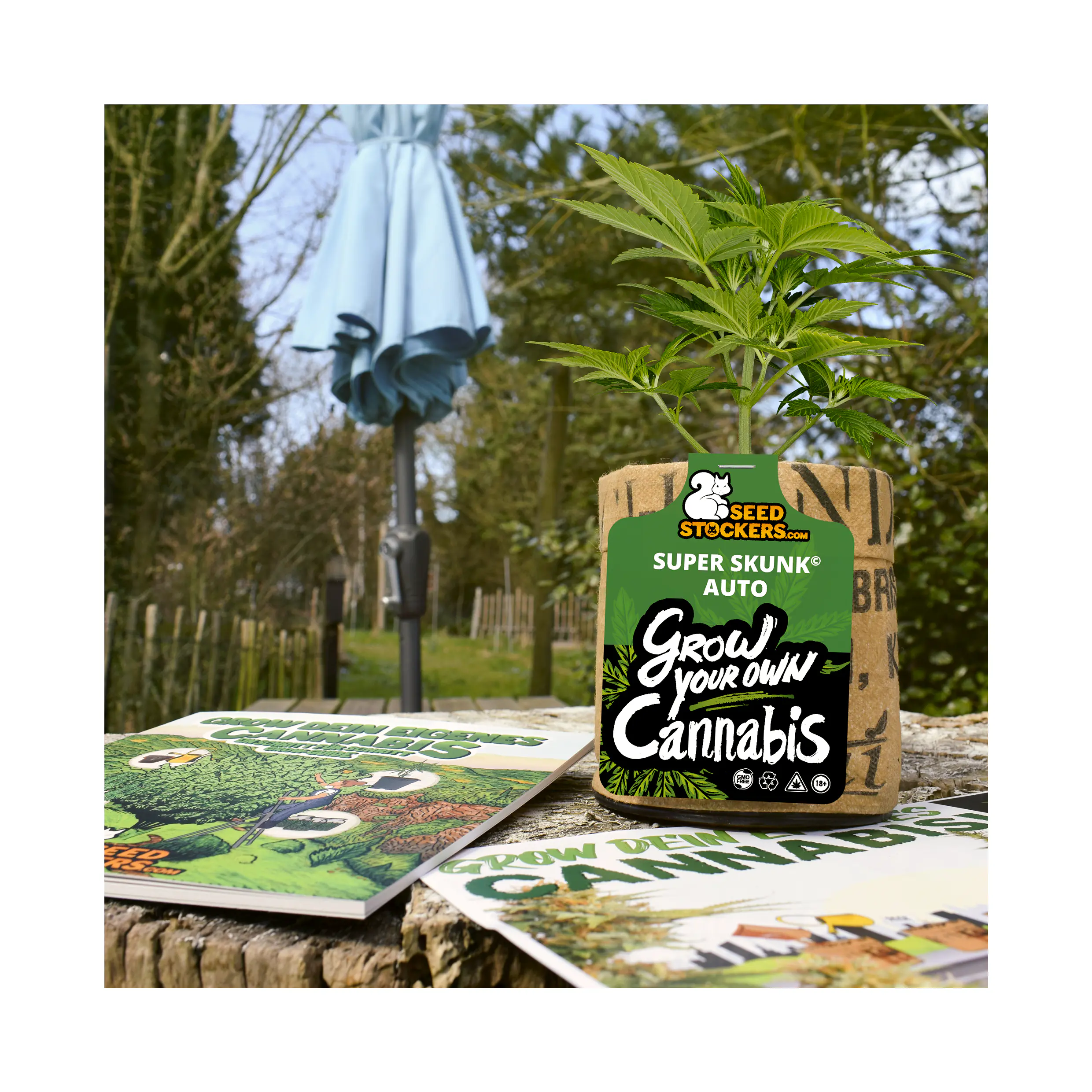 Seedstockers Mini Anbau-Set Super Skunk Auto Hanfsamen