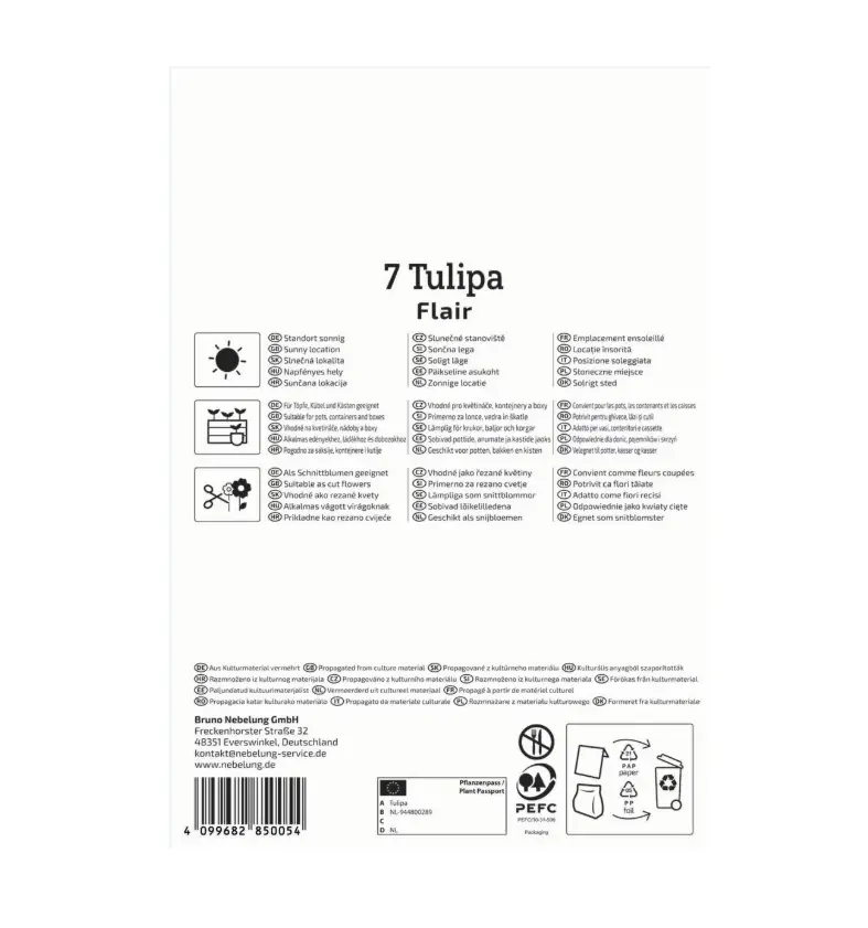 Kiepenkerl Herbstblumenzwiebel Einfache Frühe Tulpe Flair 7 Pflanzen