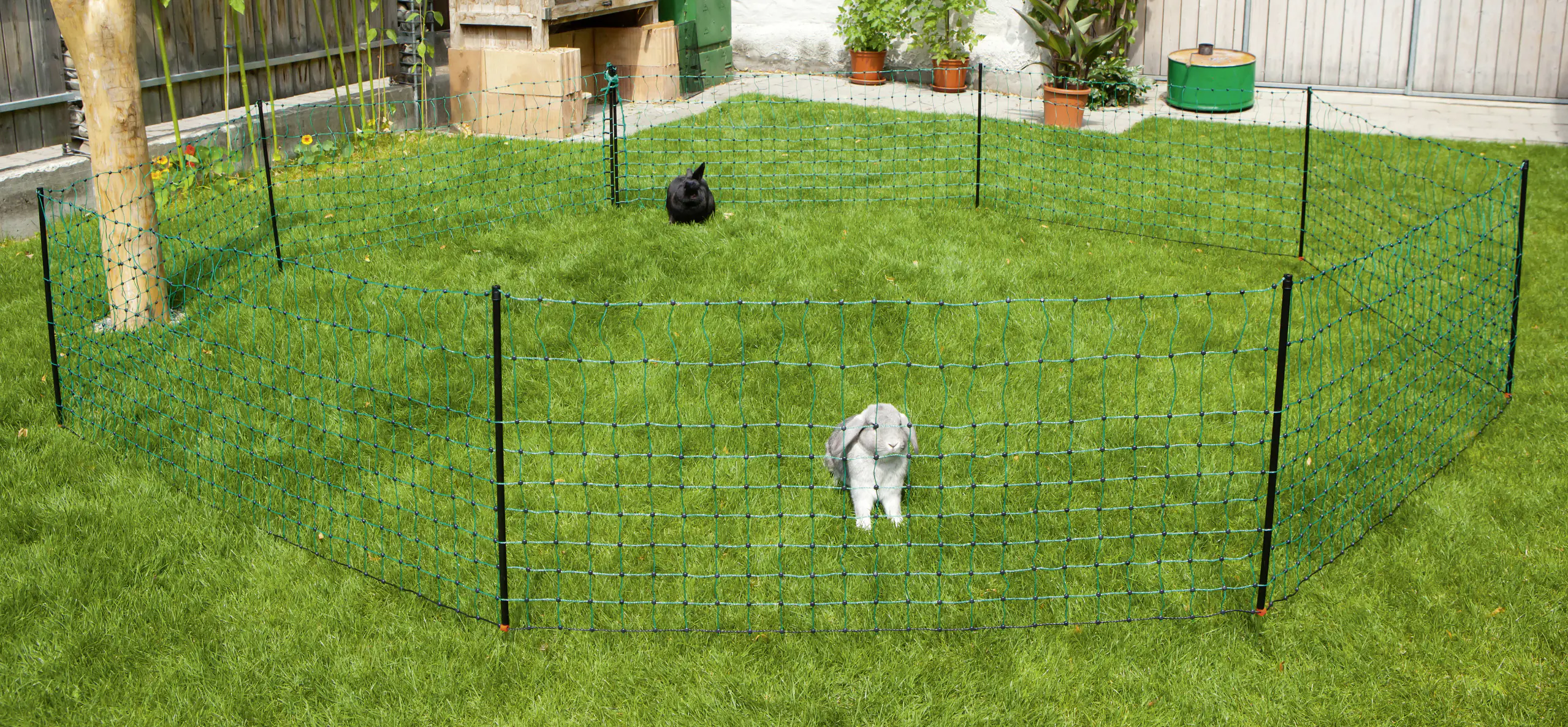 Kerbl Kaninchennetz grün LxH 12m x 65 cm