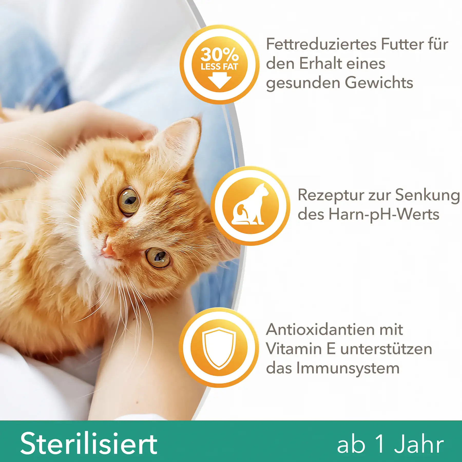IAMS Vital Katze Sterilisiert Huhn 800g 800g