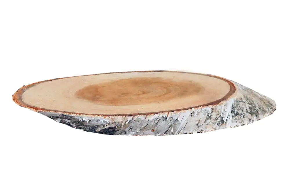 Birkenholzscheiben oval 100% Natur 18-30 cm ø
