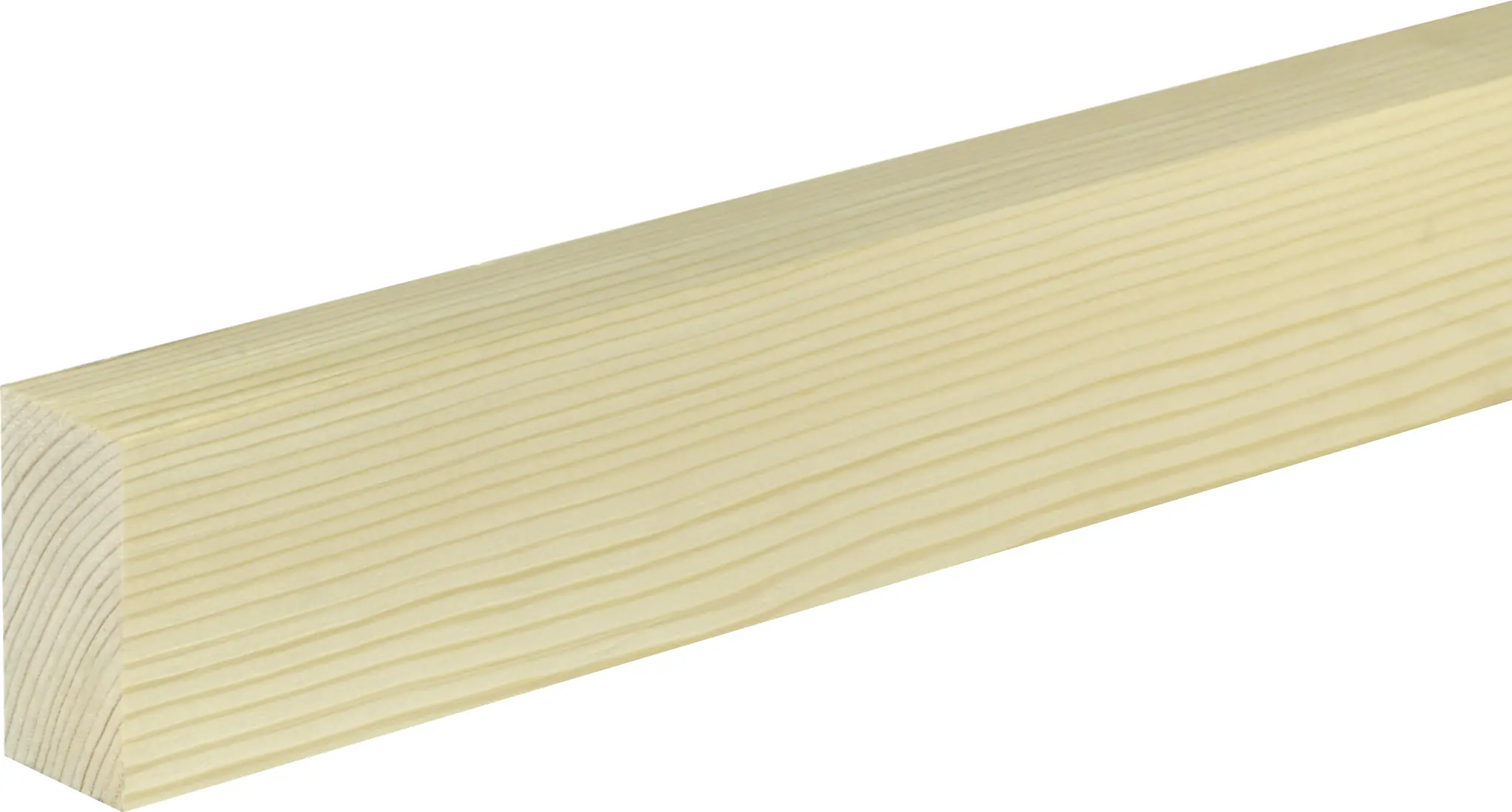 FN Neuhofer Flachleiste 100 cm 60 x 29 mm Fichte/Kiefer