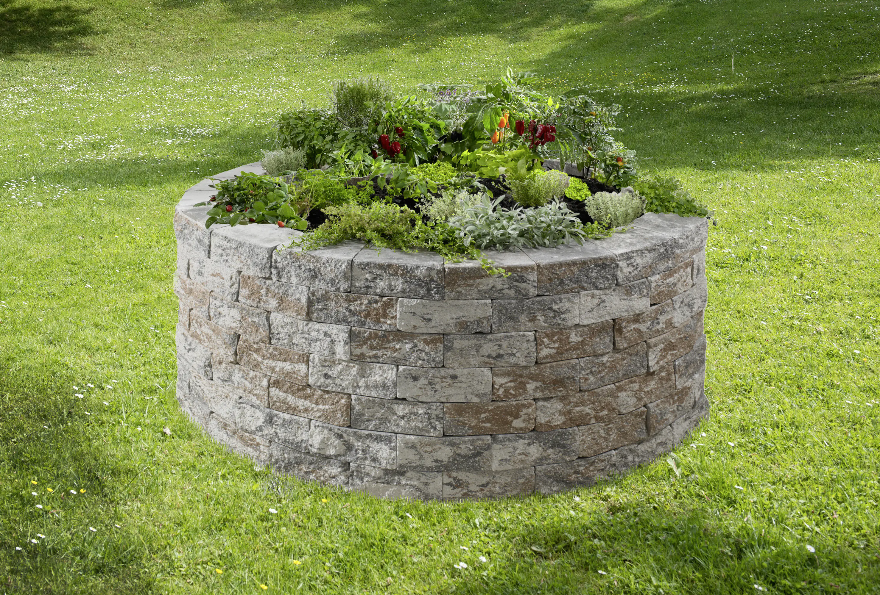 2077881026588_3 Kann Hochbeet-Set Vigneto-Rondell Ø 200 x 72 cm jura-nuanciert
