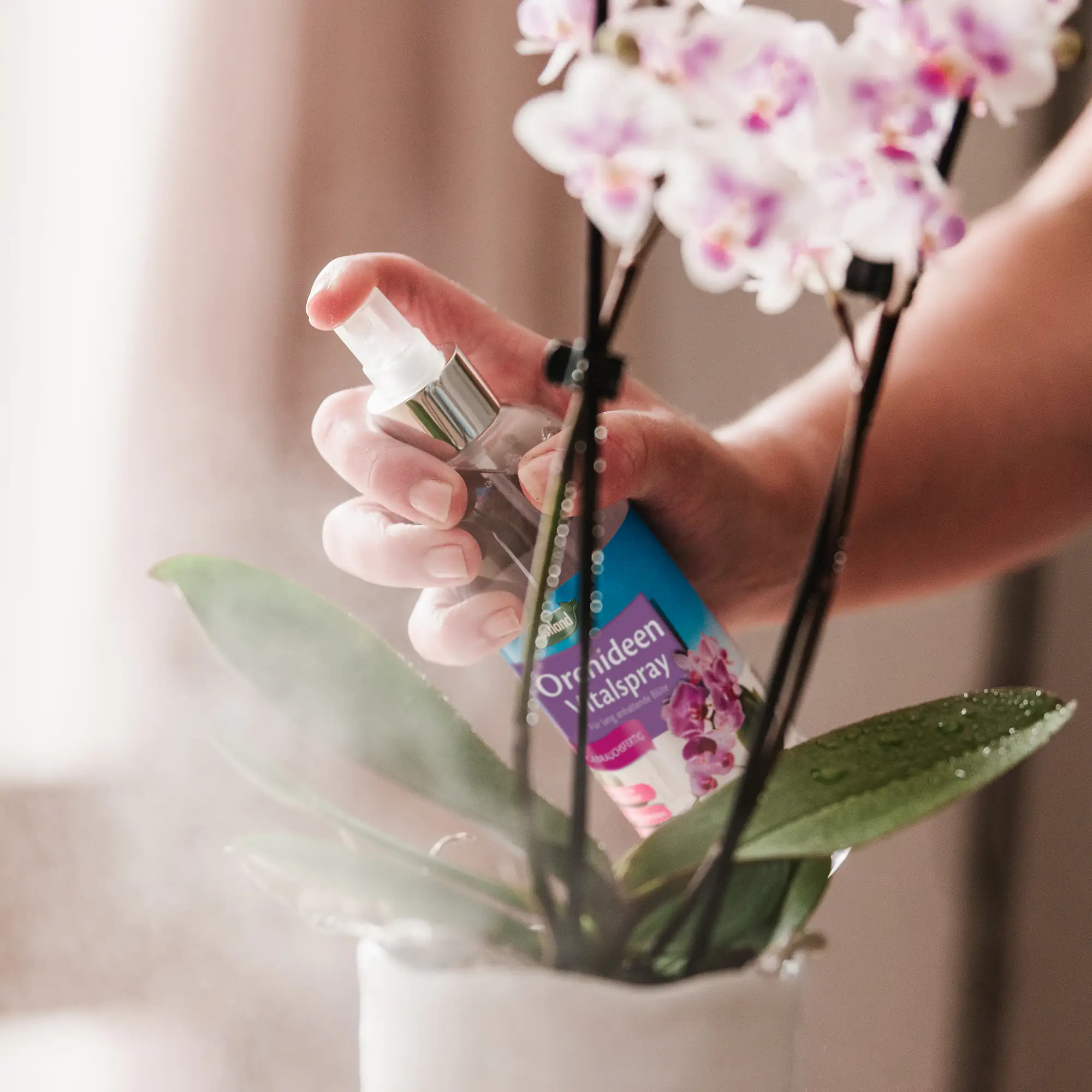 Westland Orchideen Vitalspray 250 ml Westland Orchideen Vitalspray 250 ml