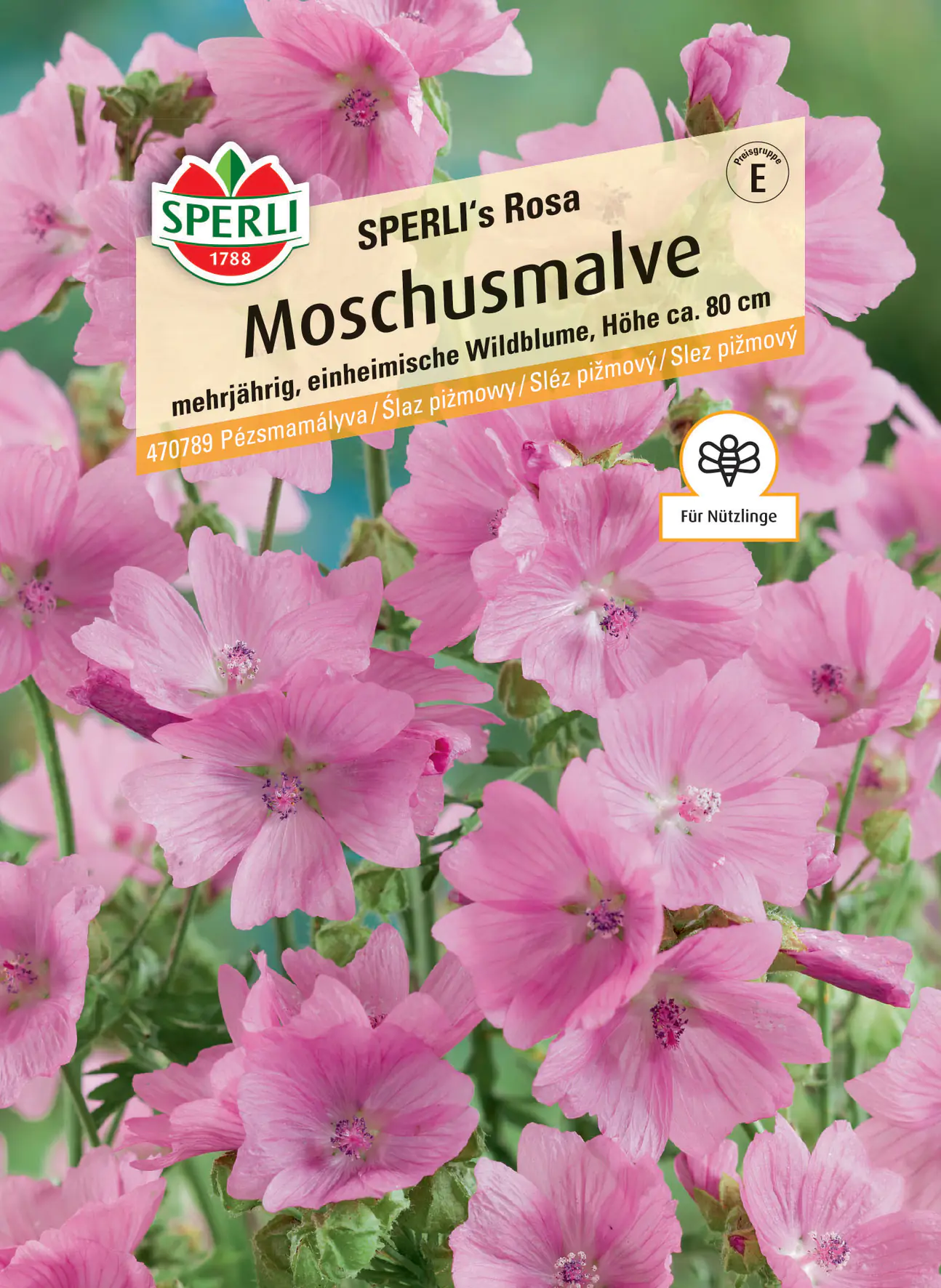 Sperli Moschusmalve SPERLI's Rosa