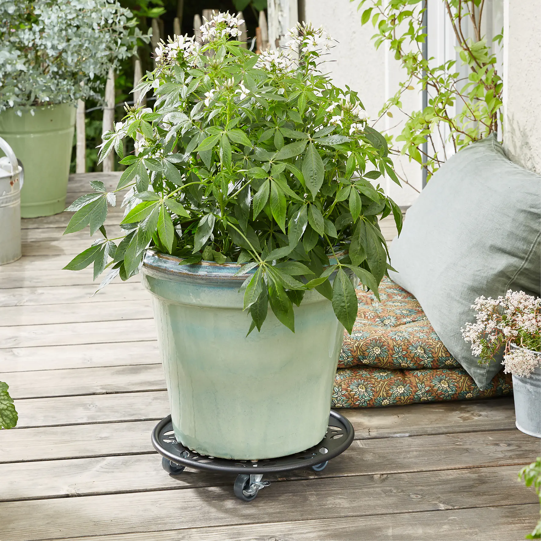 WAGNER Pflanzenroller Stahl rund Ø 30 cm Tragkraft bis max. 100 kg WAGNER Pflanzenroller Stahl rund Ø 30 cm Tragkraft bis max. 100 kg