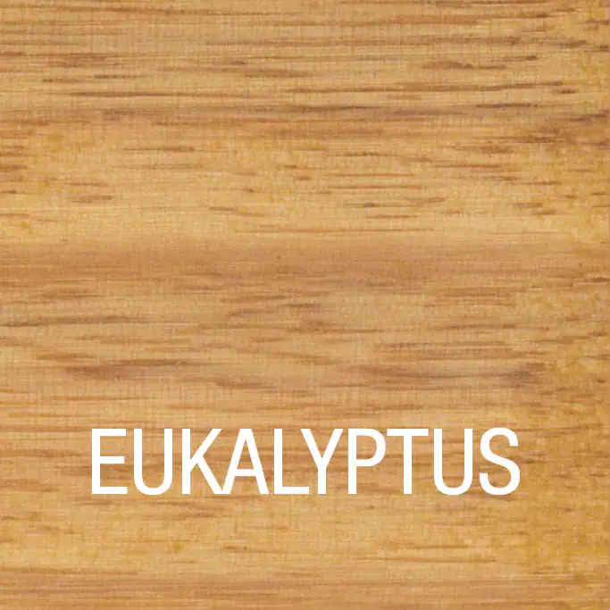 5702160143232_1 Bondex Eukalyptus Öl 750 ml