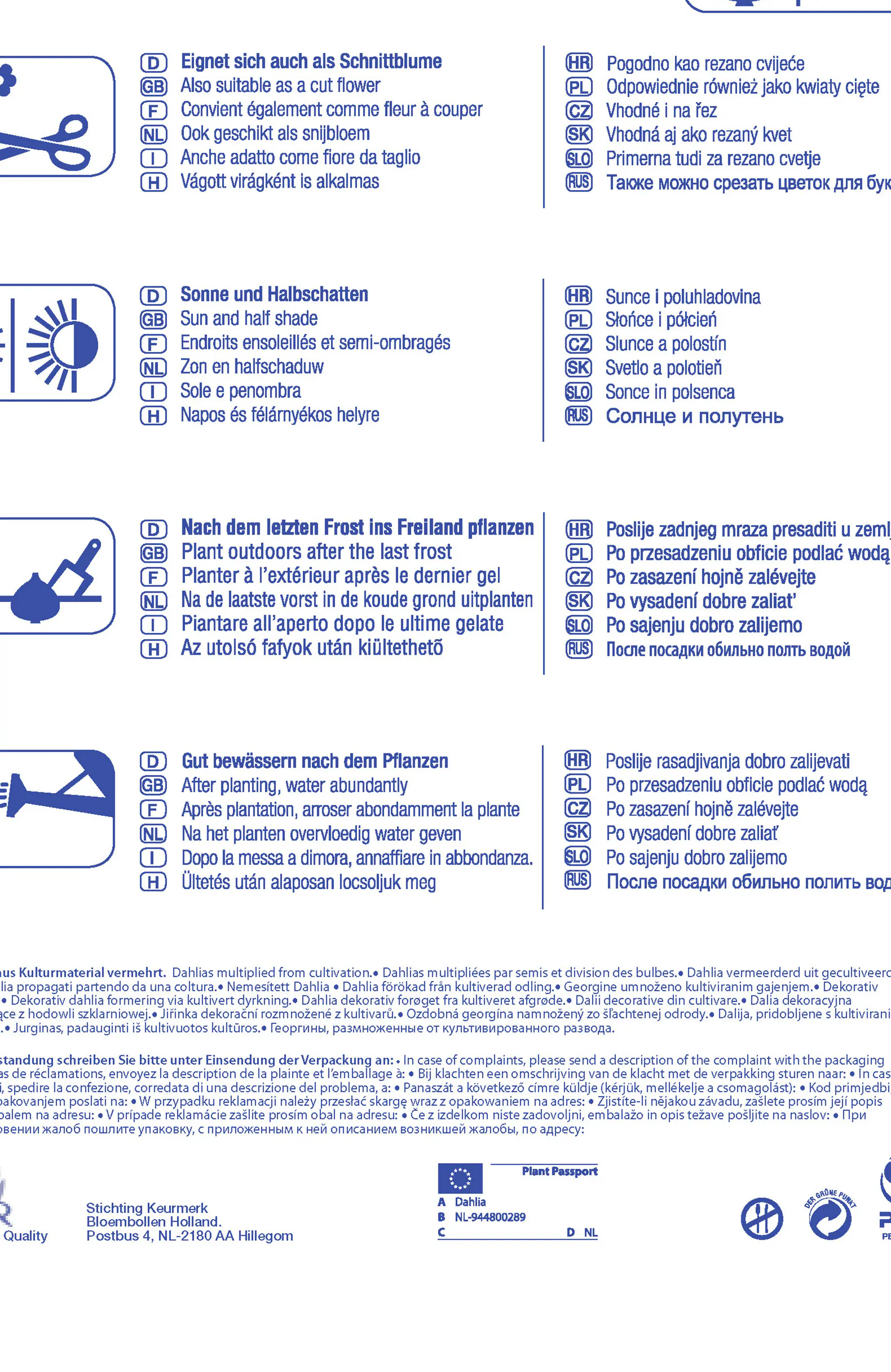 Kiepenkerl Bienenfreundlicher Halskrausen-Dahlien Mix Inhalt: 3 Stück