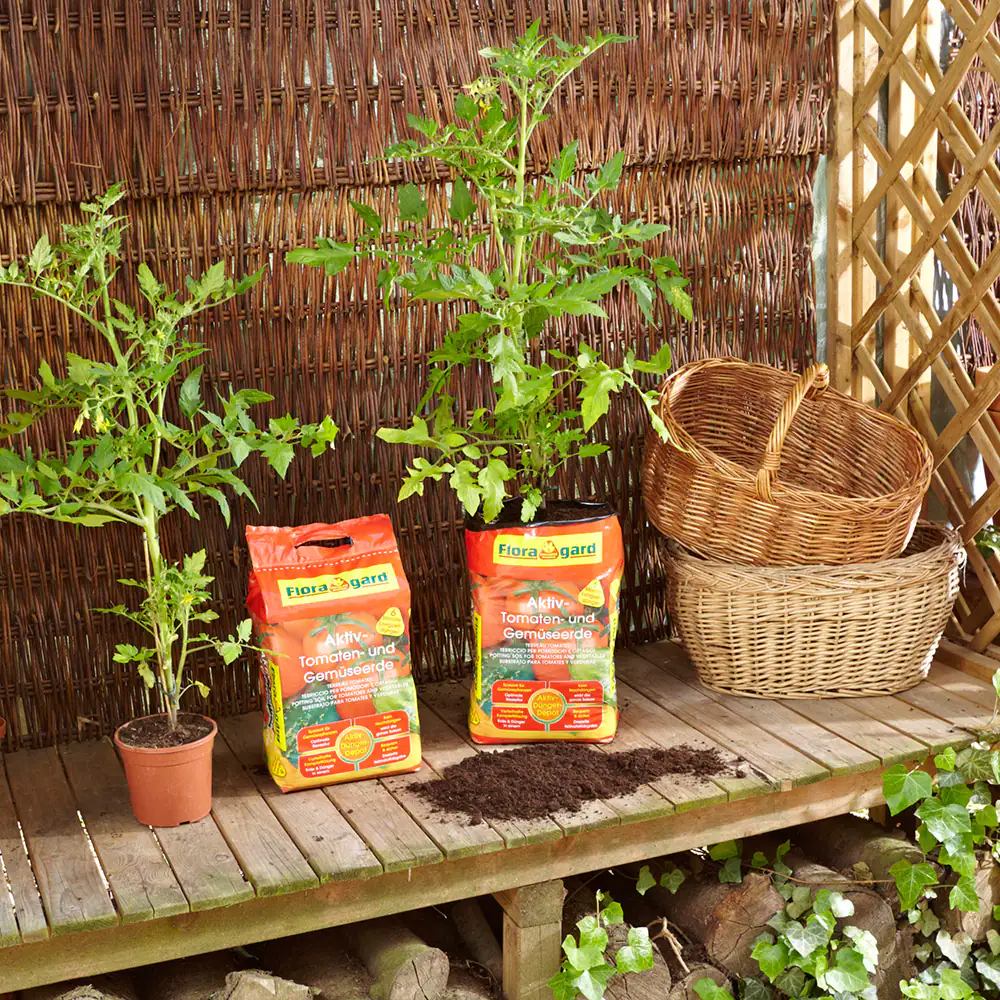 4006398405072_4 Floragard Aktiv Tomaten- und Gemüseerde 20 L