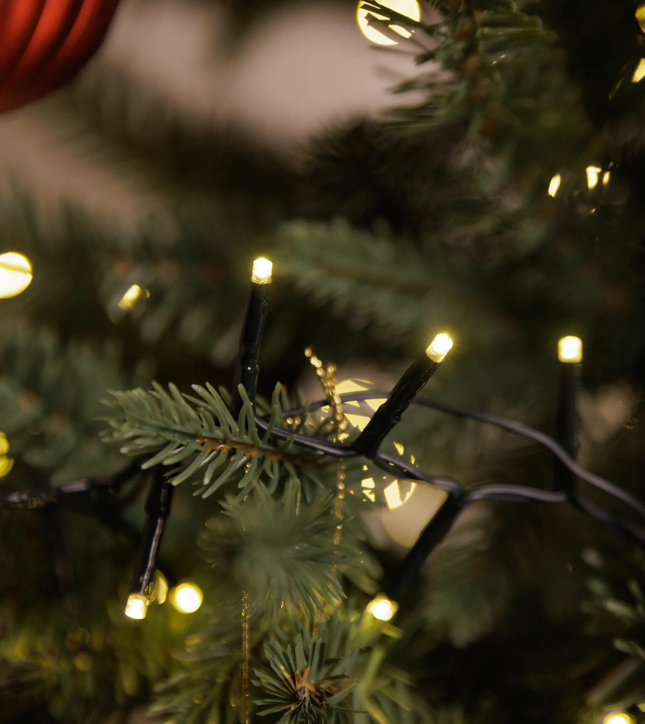 TrendLine LED-Lichterkette Premium Außen 7,2 m warmweiß-grün mit Timer, Dimmer