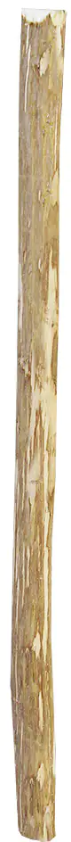 Pfosten Haselnuss Ø 3-5 x 90 cm
