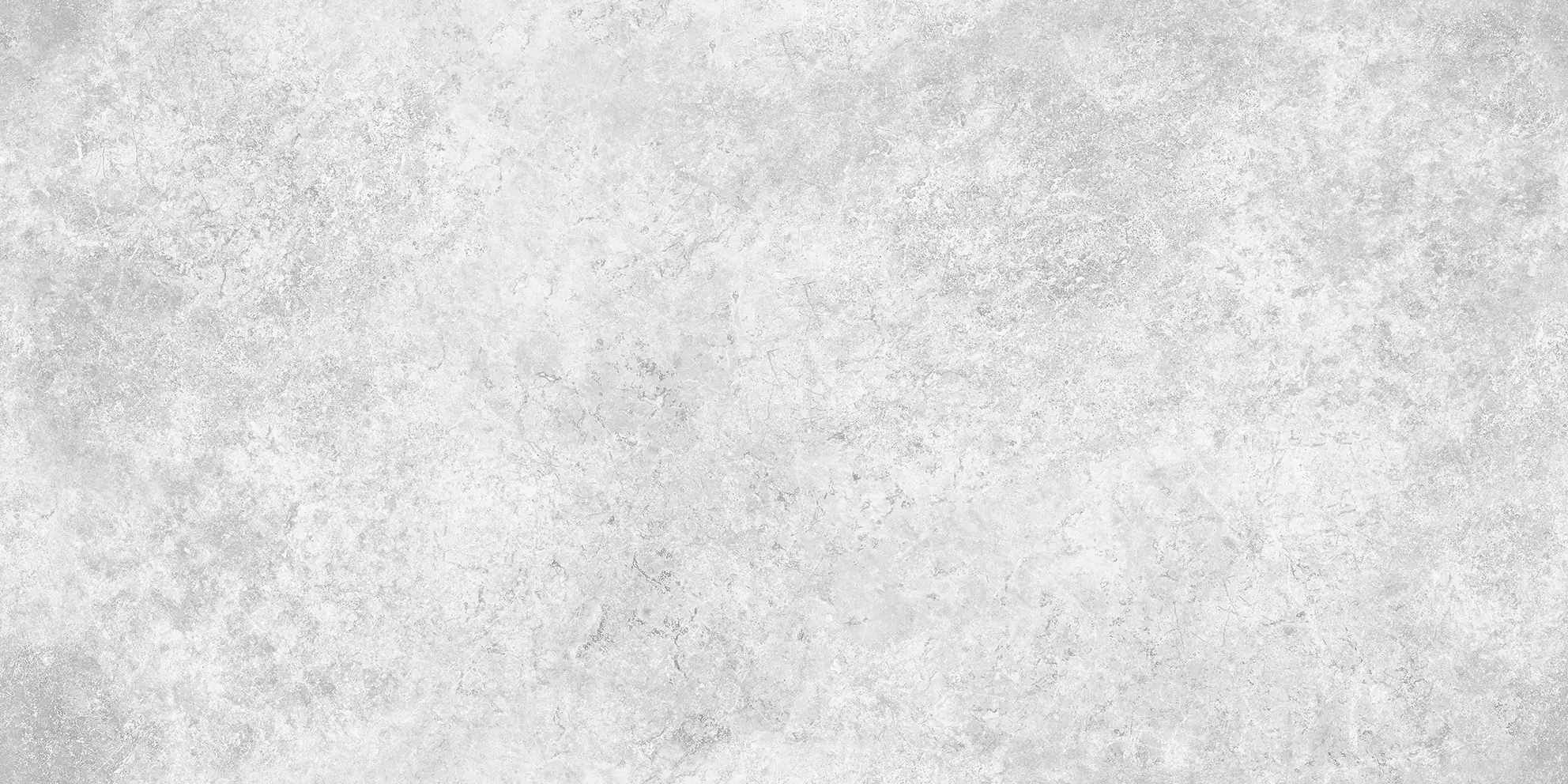 Bodenfliese Feinsteinzeug Huston 30 x 60 cm hellgrau