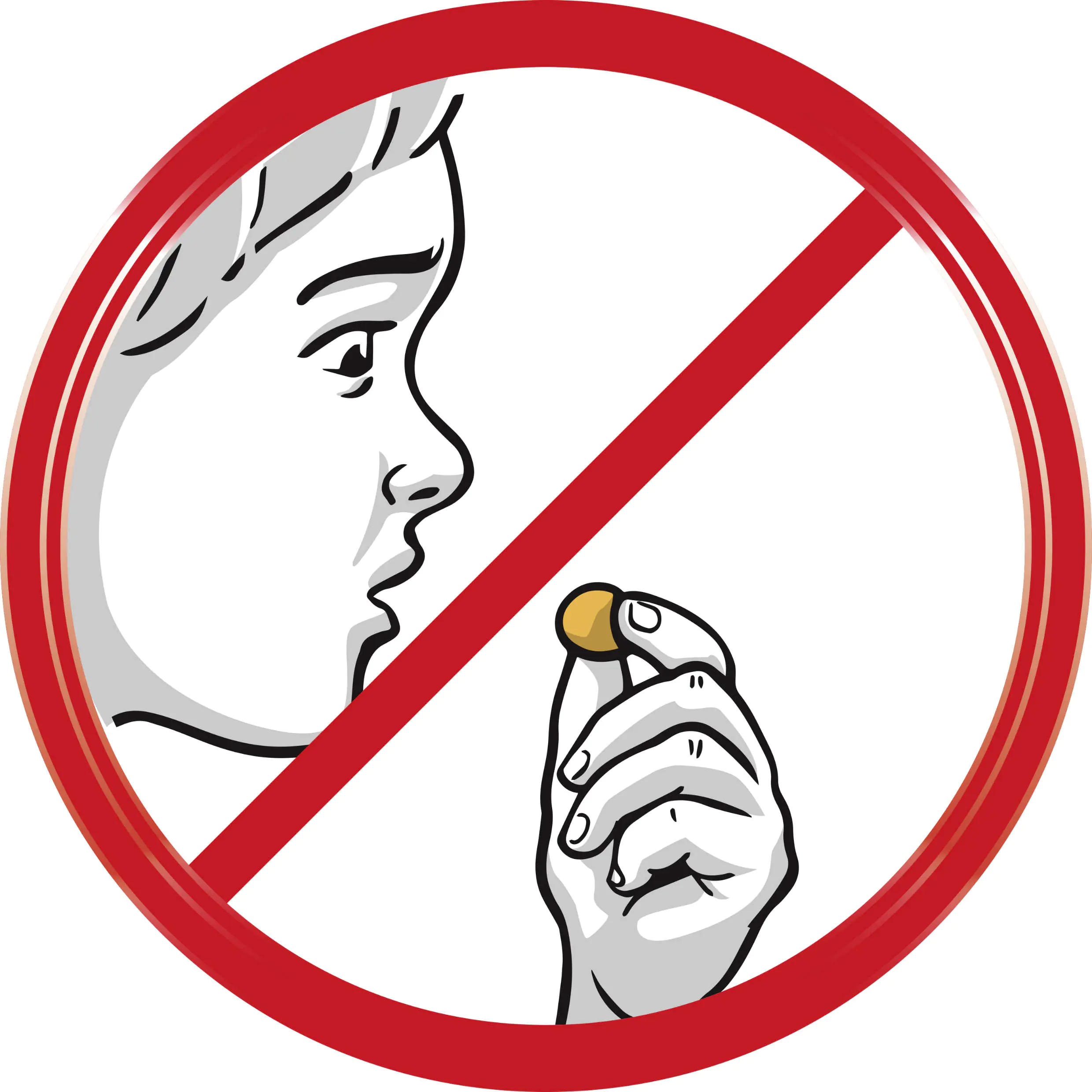 Swirl Deo Perlen für Staubsauger Fruchtige Frische 4 Portionen