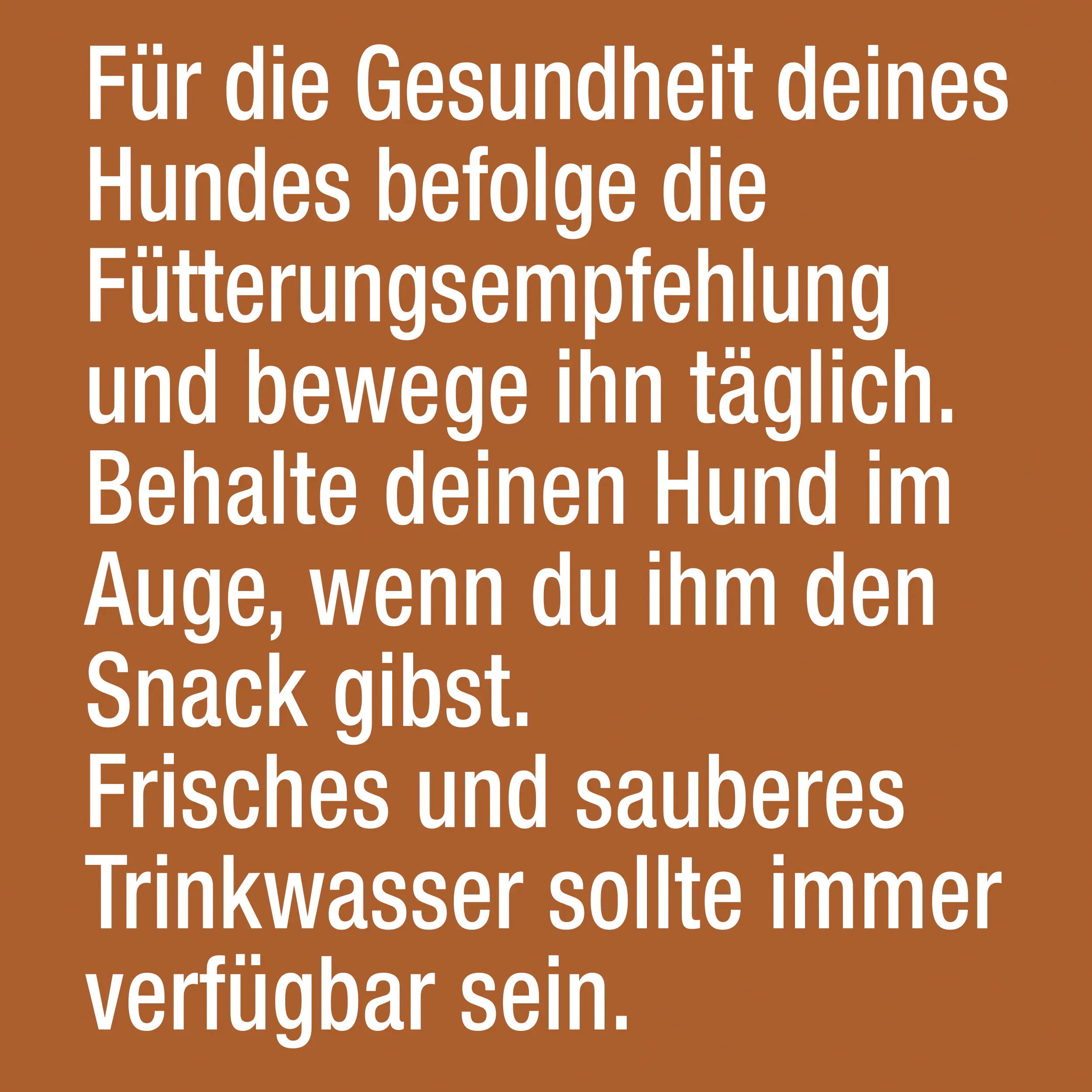 Adventuros mit Büffelgeschmack 120 g Adventuros mit Büffelgeschmack 120 g