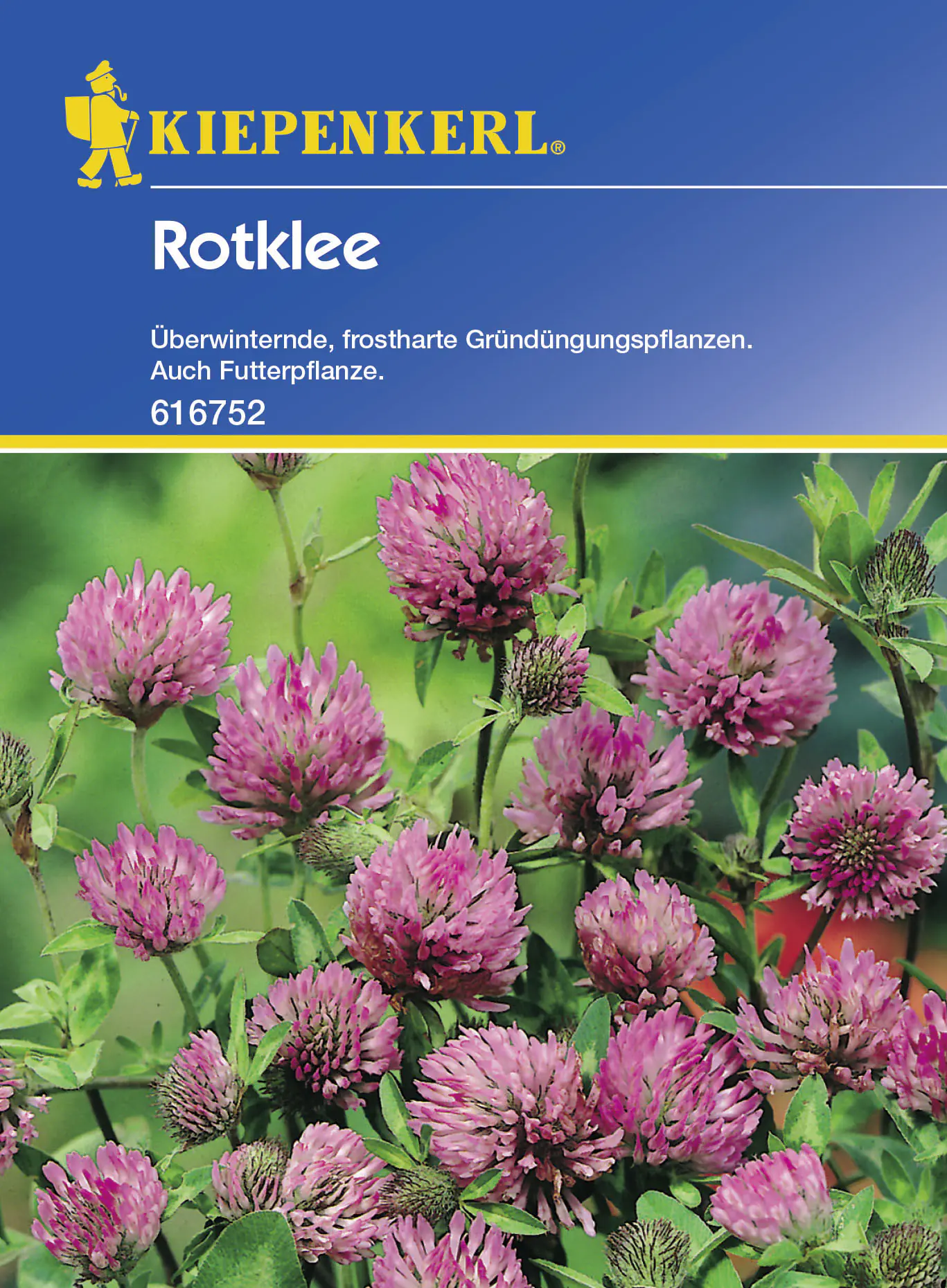 Kiepenkerl Rotklee Trifolium pratense, Inhalt: 50 g