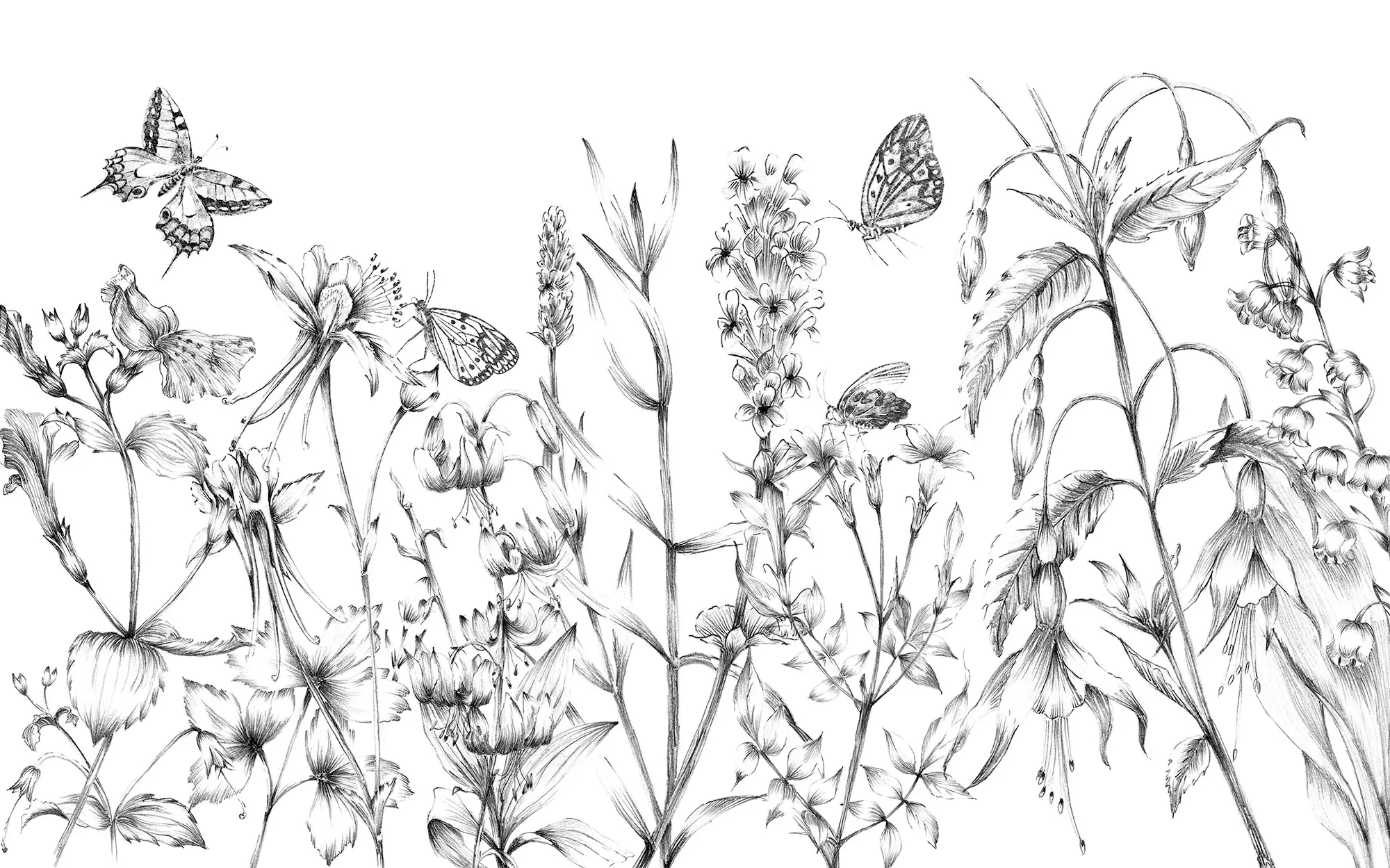 Komar Vlies Fototapete Butterfly Field 400 x 250 cm 