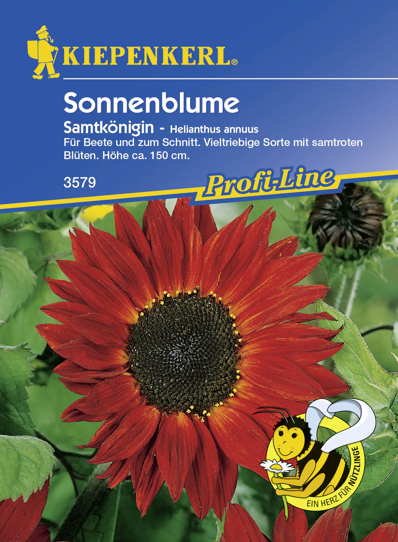 Kiepenkerl Sonnenblume Samtkönigin Helianthus annuus, Inhalt: ca. 40 Pflanzen Kiepenkerl Sonnenblume Samtkönigin Helianthus annuus, Inhalt: ca. 40 Pflanzen