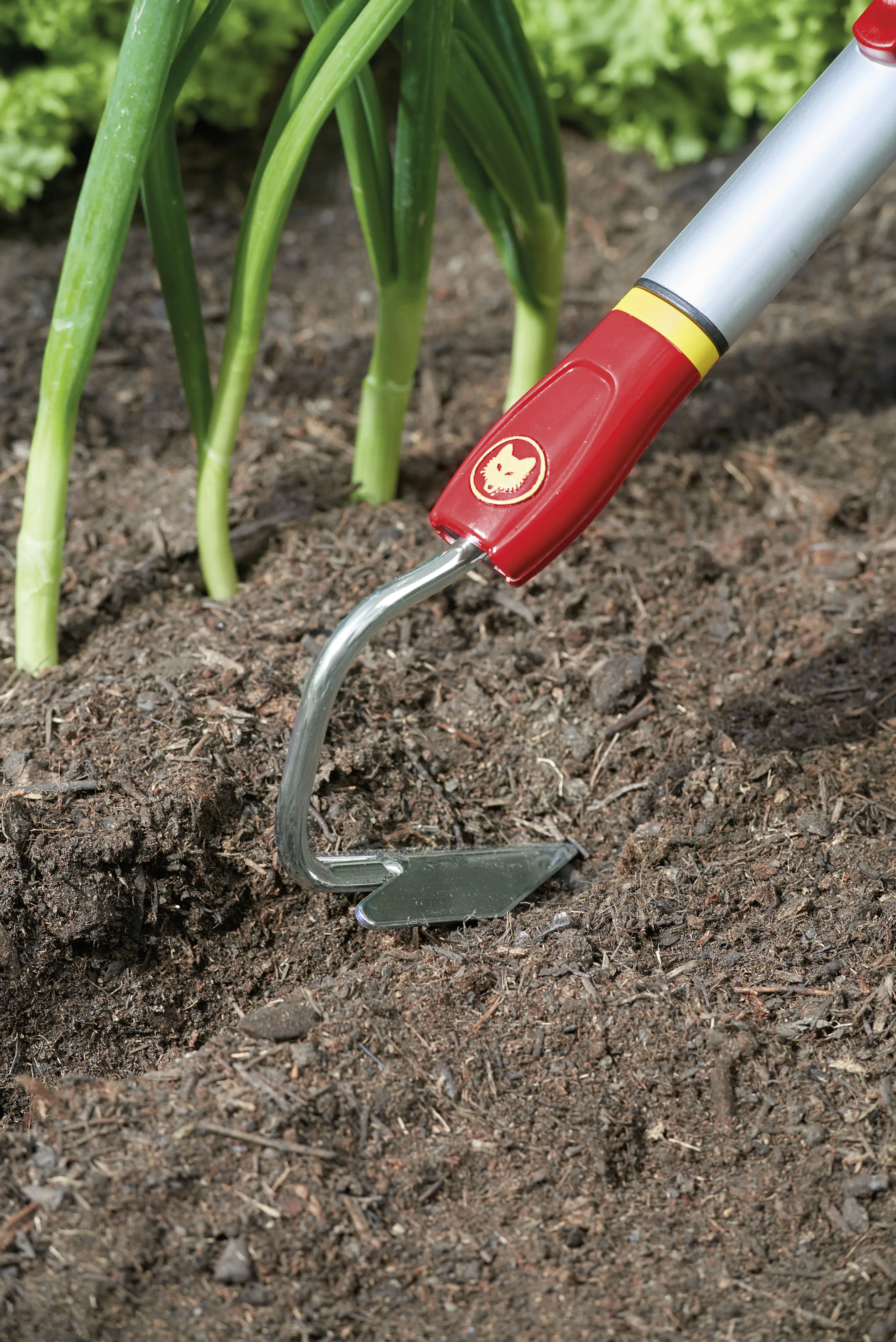Wolf Garten Lüfter Multi-Star BI-M 3,5 cm Arbeitsbreite Wolf Garten Lüfter Multi-Star BI-M 3,5 cm Arbeitsbreite