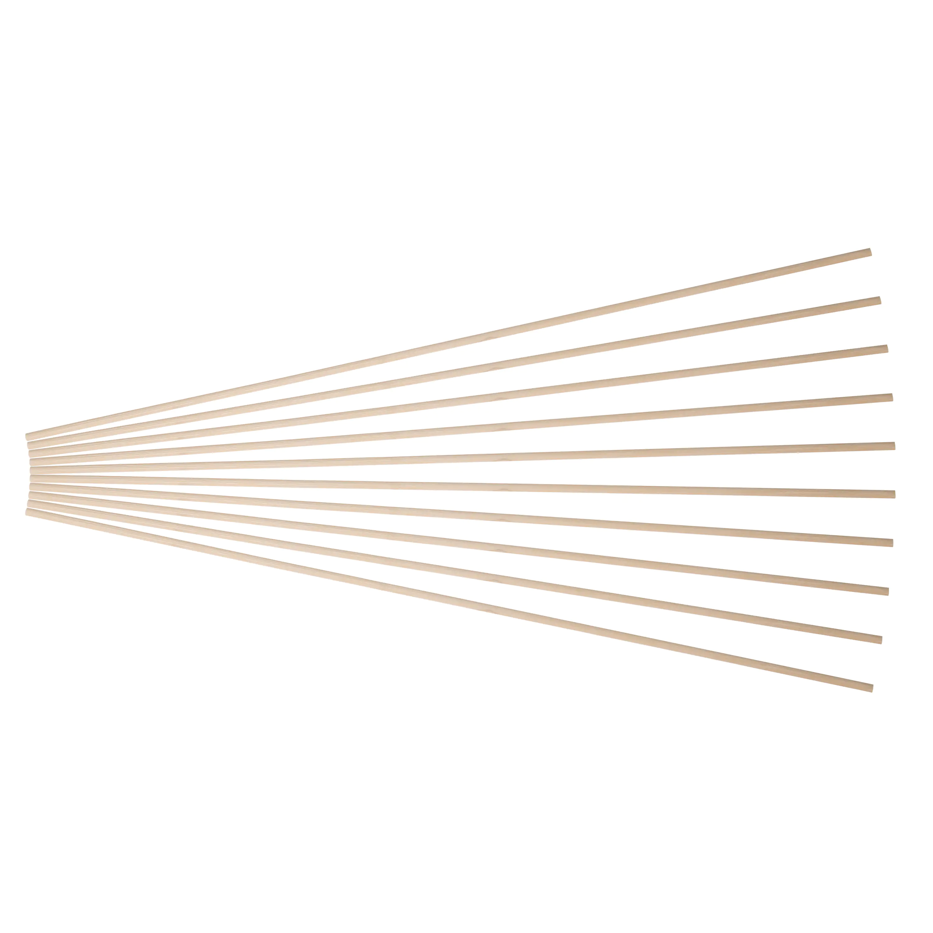 TrendLine Pflanzstab Bambus 50 cm