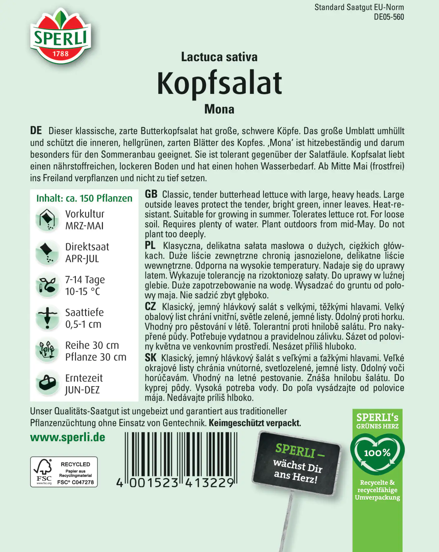 Sperli Kopfsalat Mona