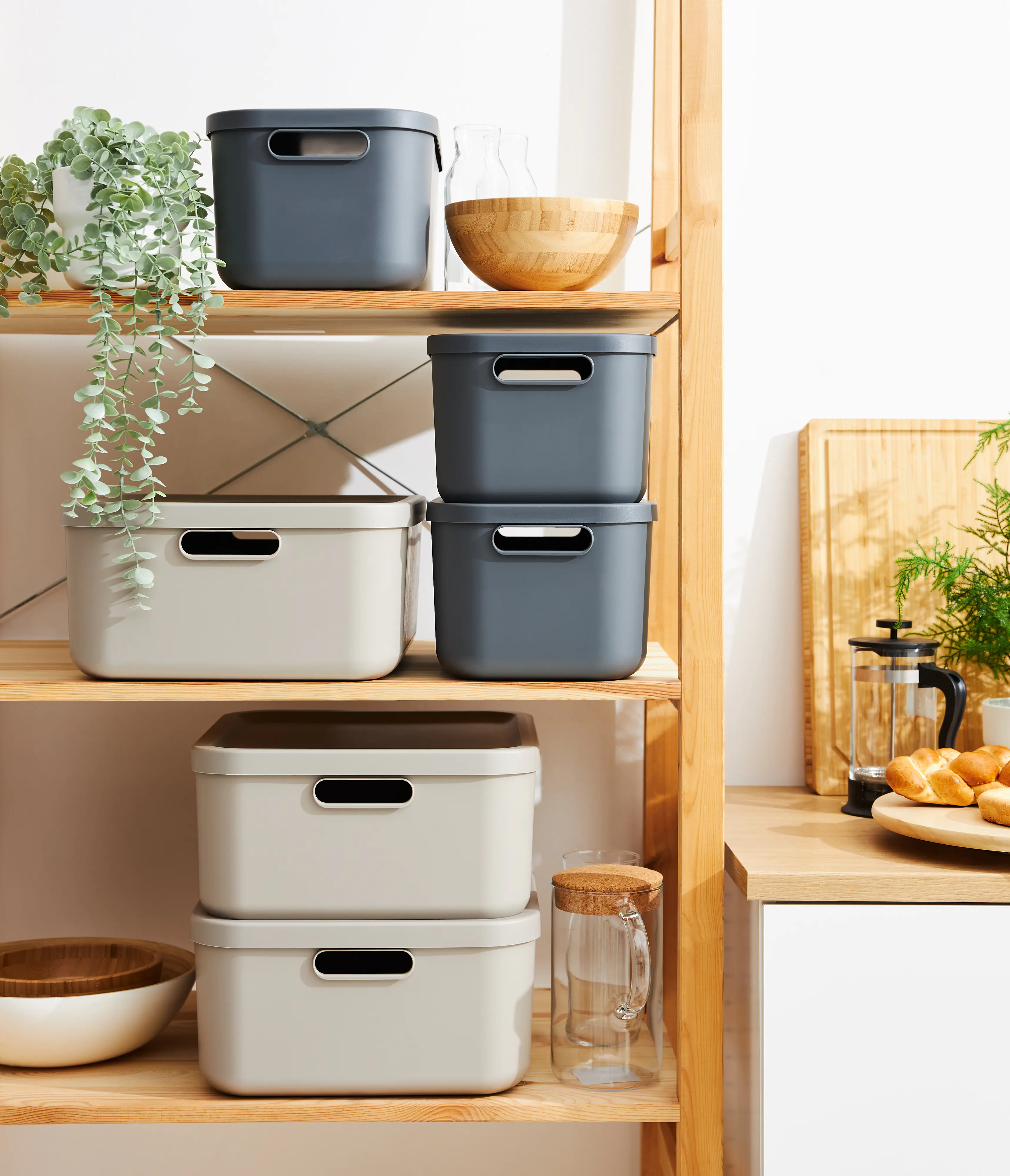 Rotho Aufbewahrungsbox 12 L Albula anthrazit inkl. Deckel 