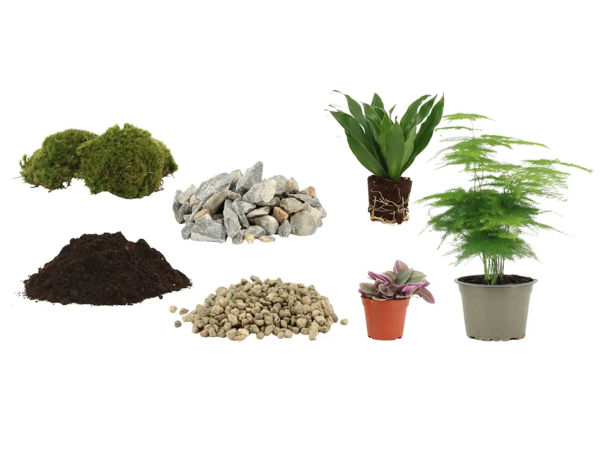 Flaschengarten DIY-Set Rund XL 8-teilig